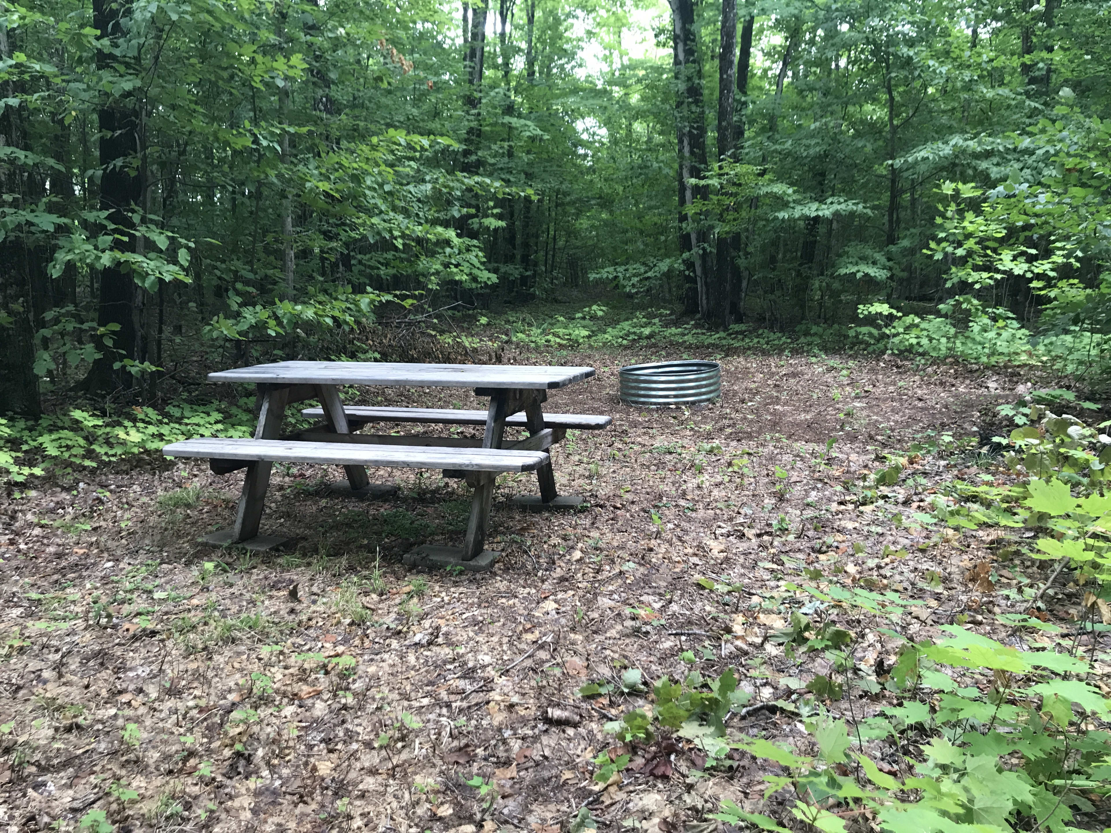 The First Site has a Picnic Table!