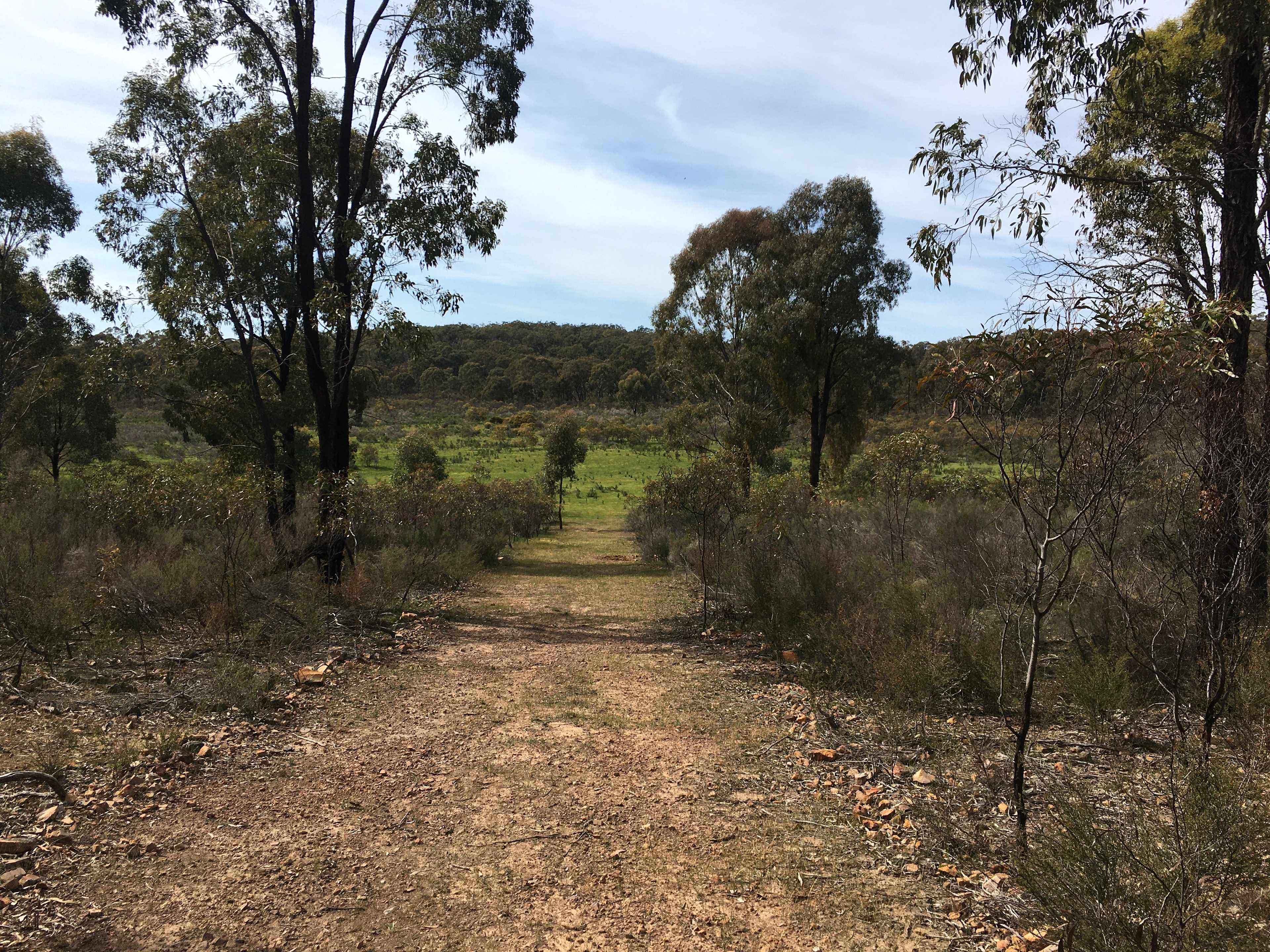 Path way to the open fields