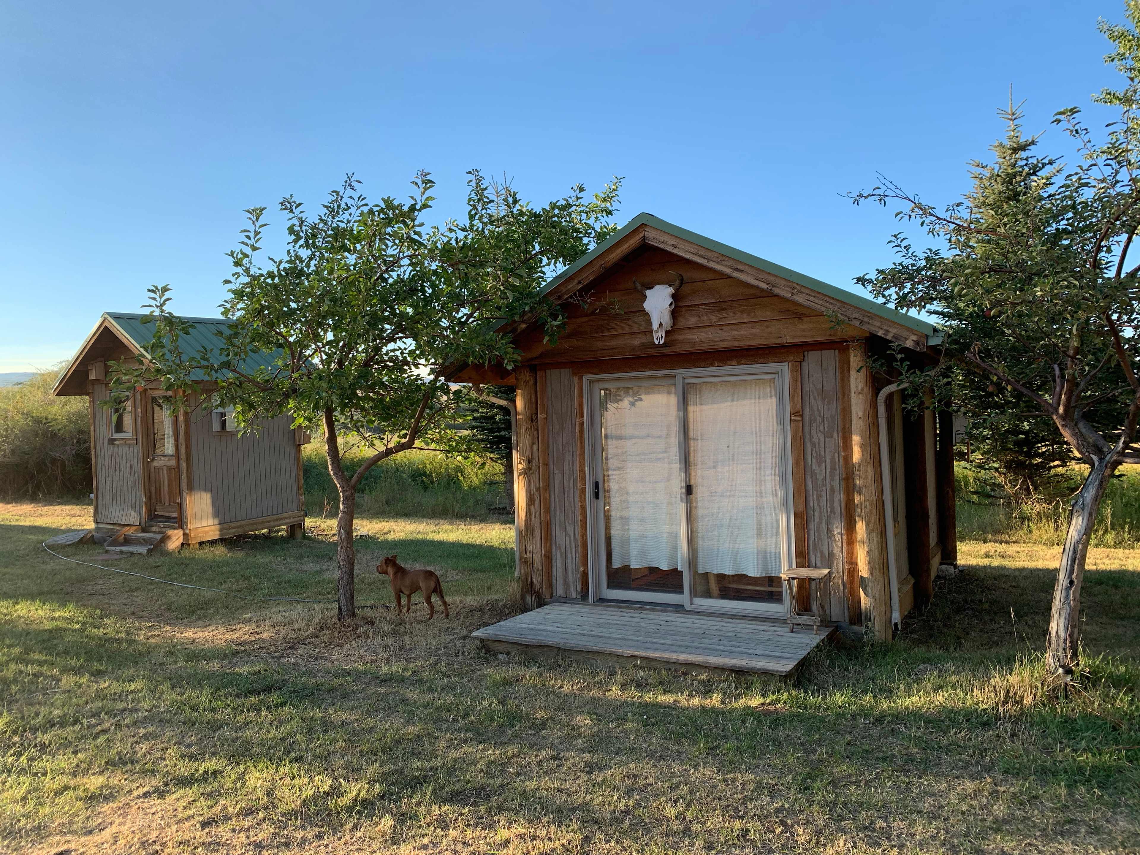 The Buffalo Head cabin with our little bathhouse in the background.  There's a picnic table and chairs behind the cabin.