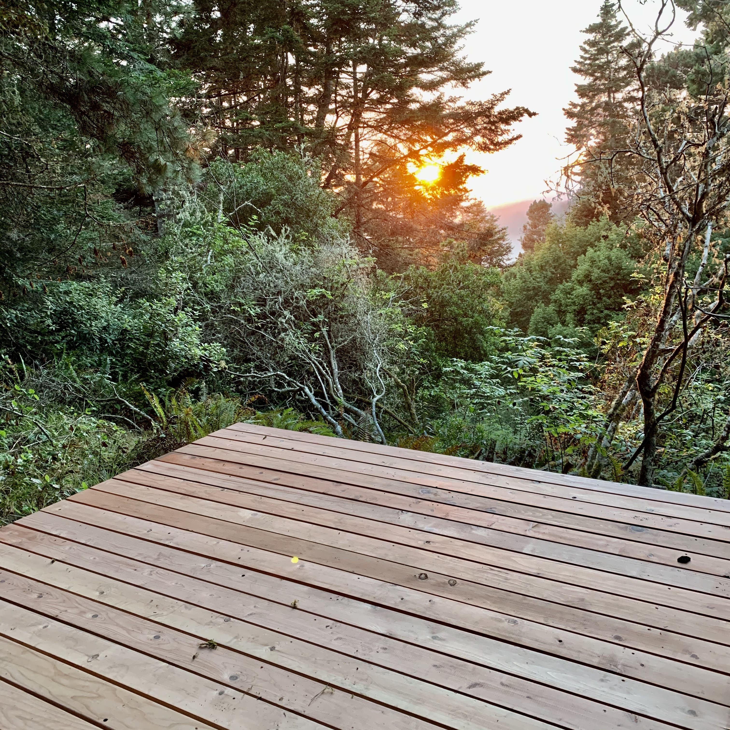 10 x 10 redwood deck overlooking the Ocean in the distance 