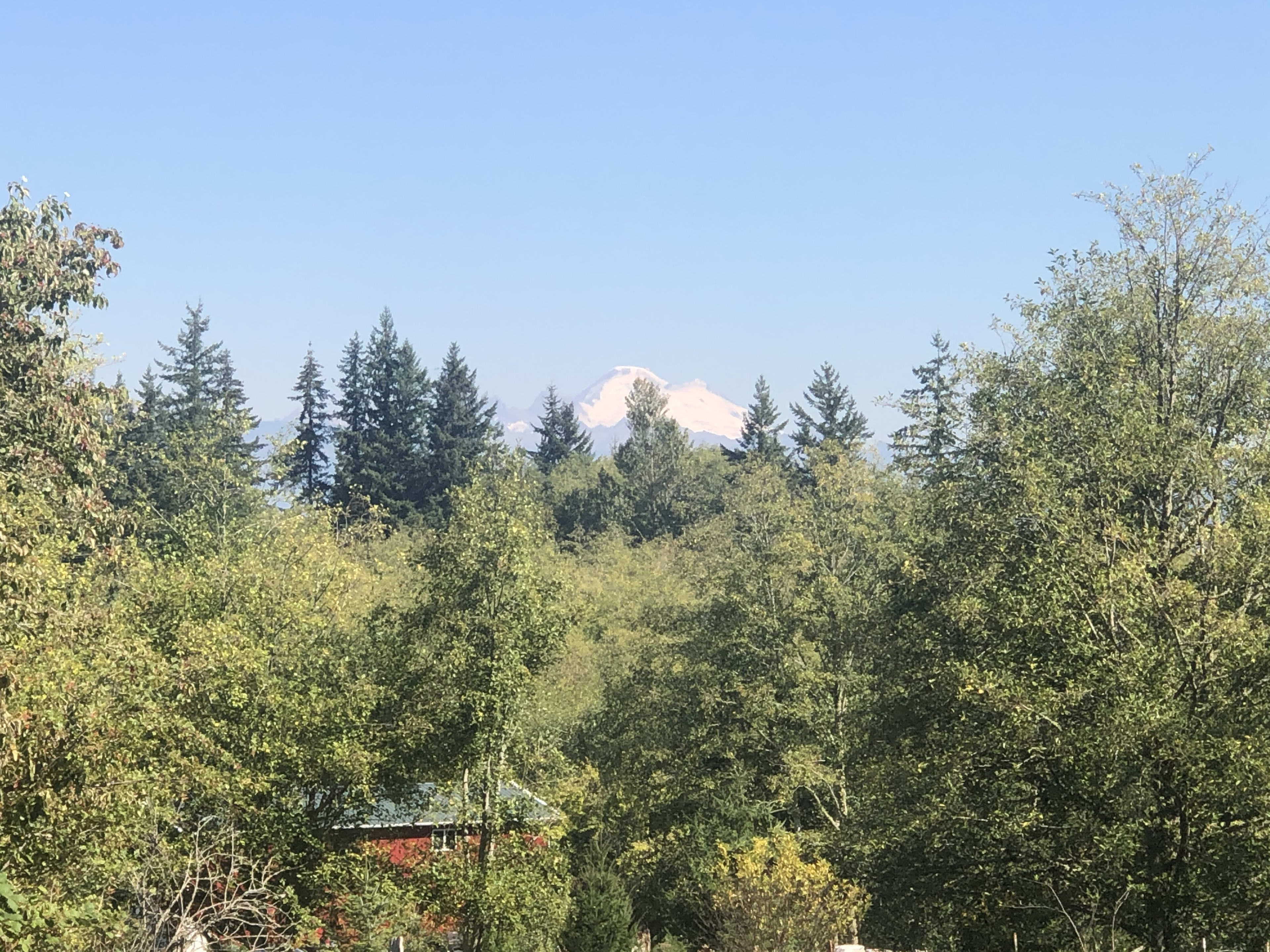 View of Mount Baker from the top of our property