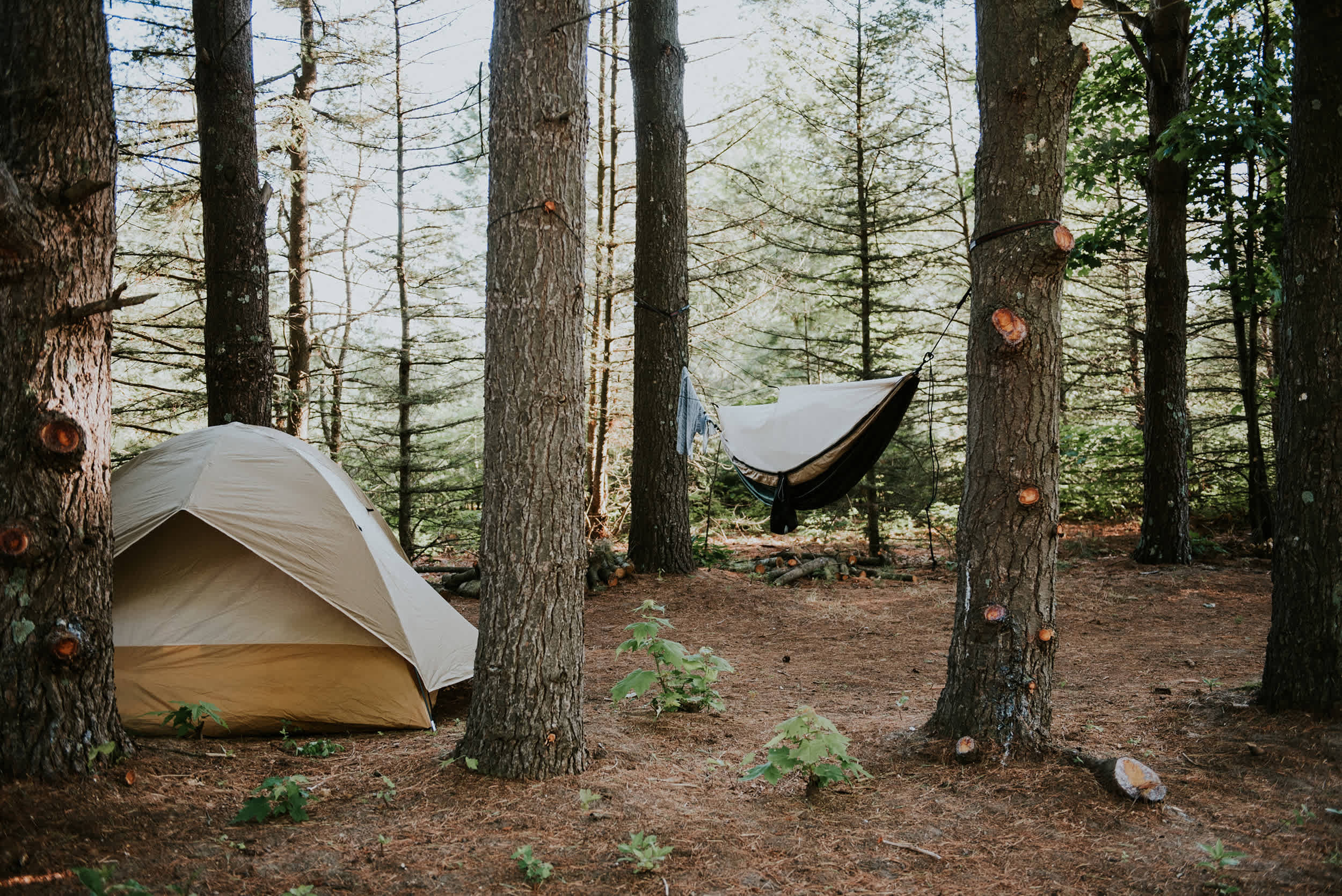 Camp Squid Off The Grid