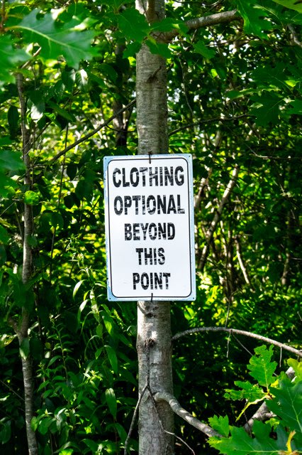 Camping With Wolves, Acadia Area