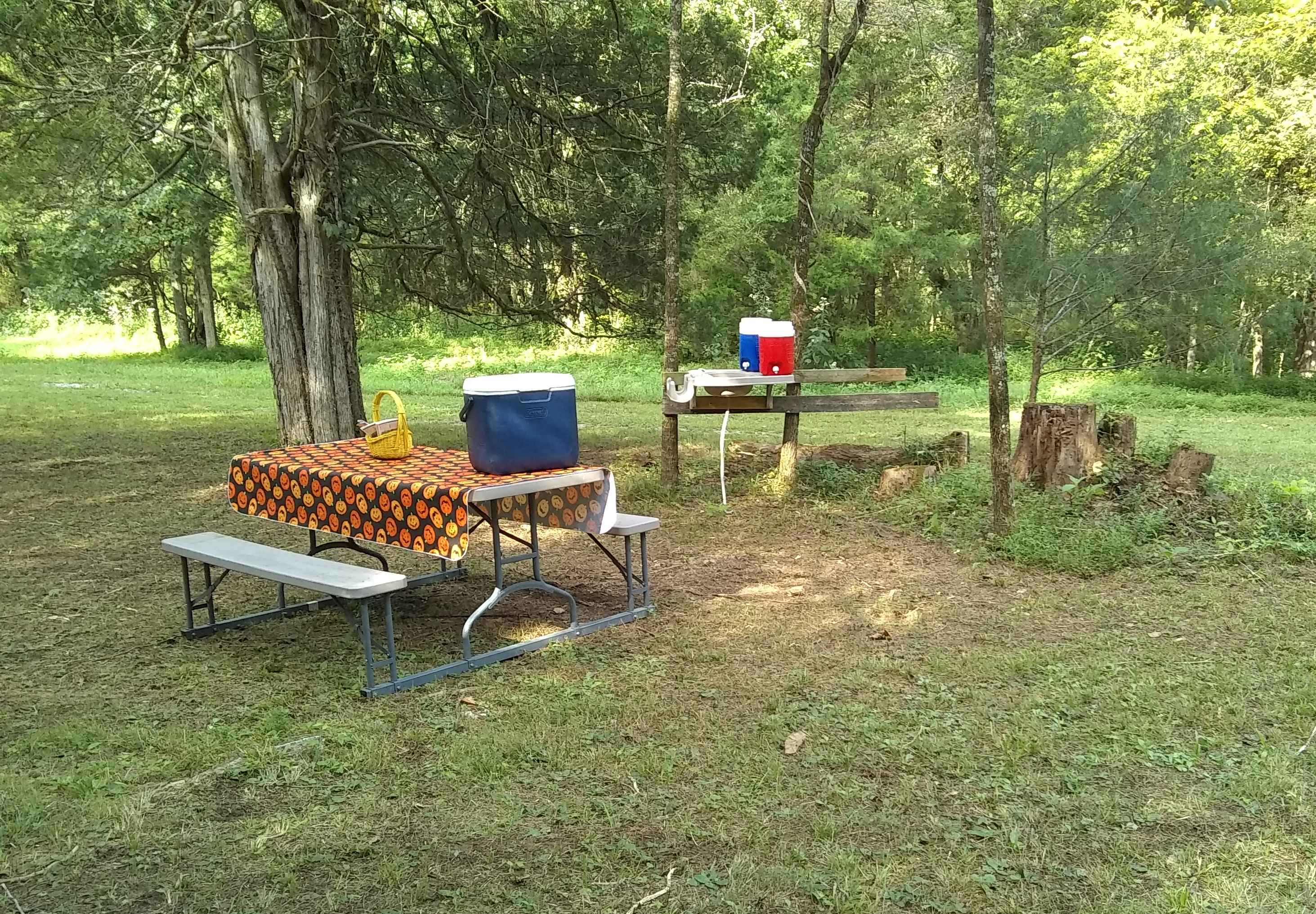Picnic table and handy camp sink.  4 gallons of drinking water can be added on.