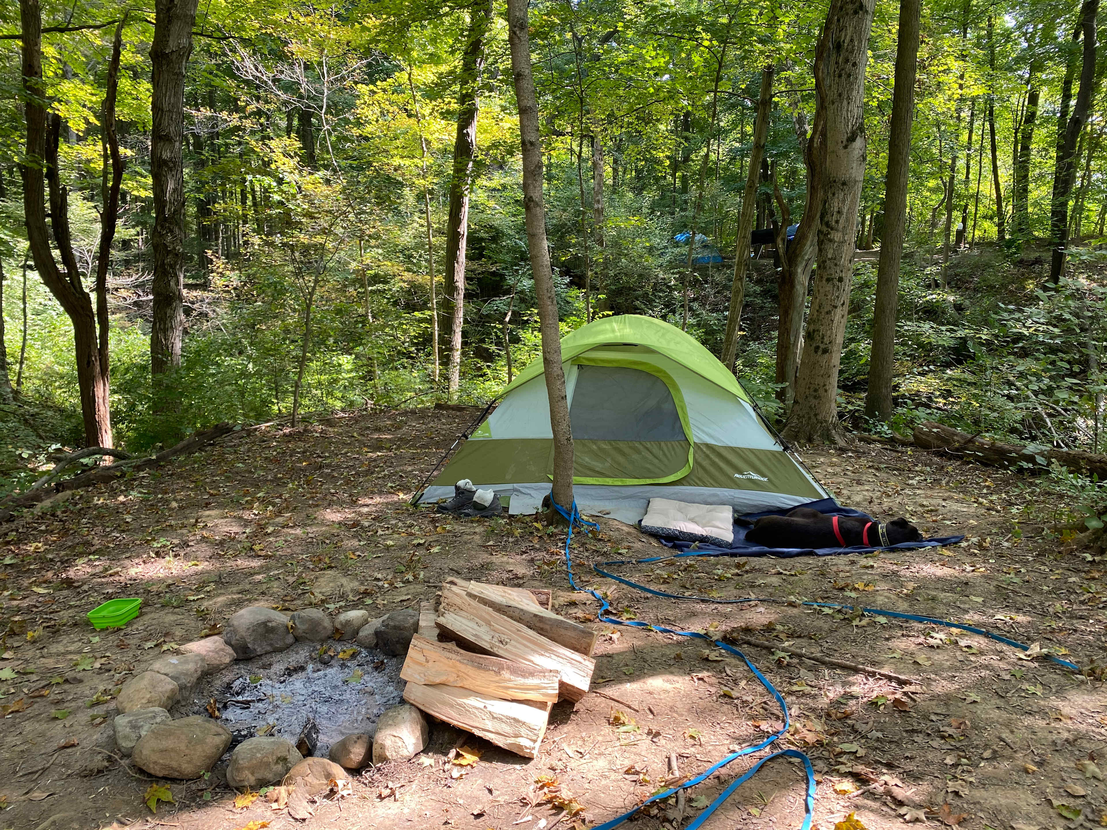 Site 5