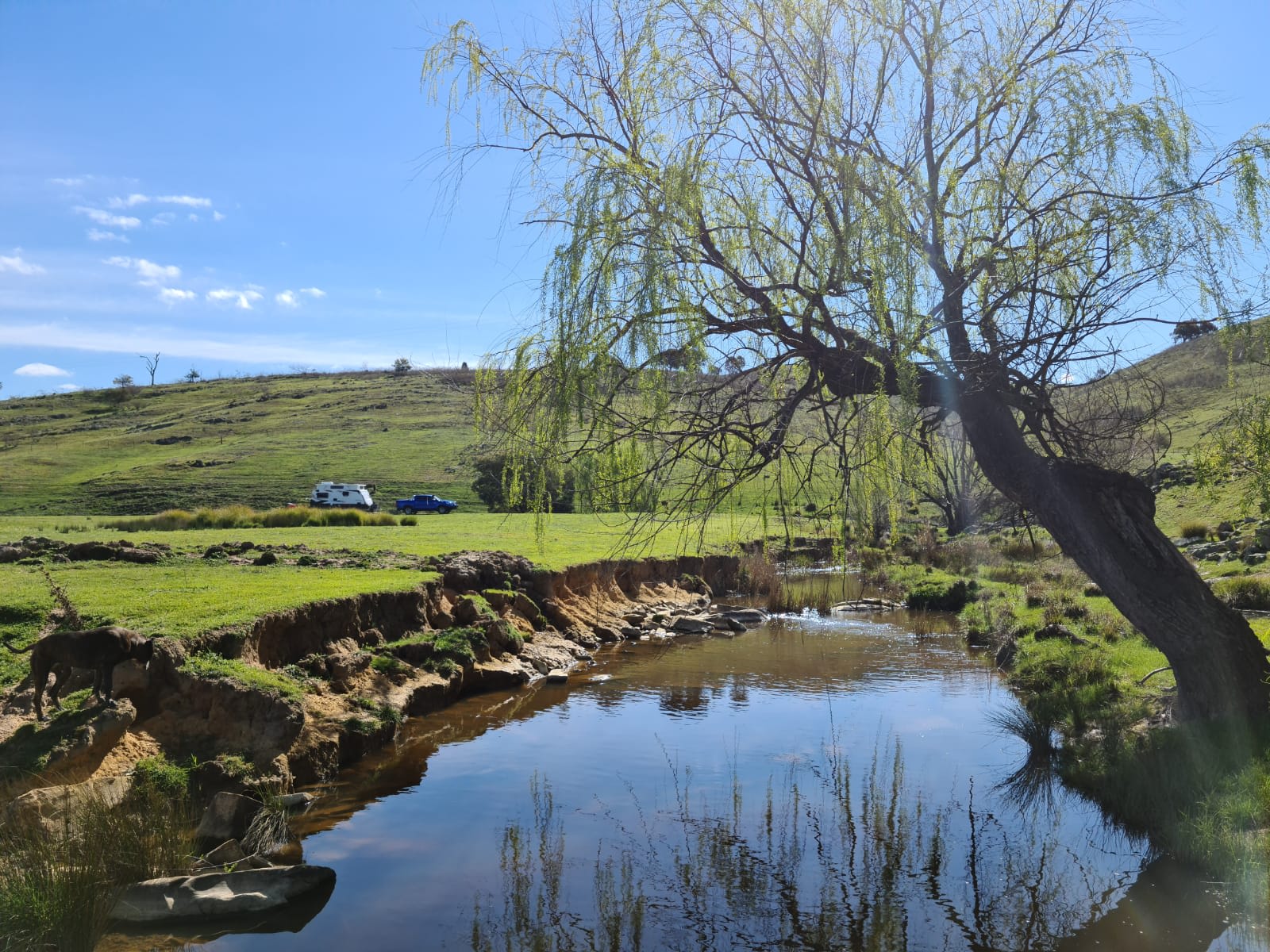 Redlands Camping