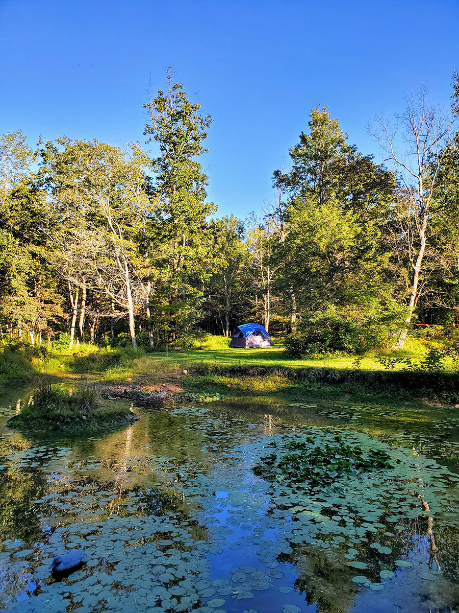 View of Campsite 3 from across the pond. 