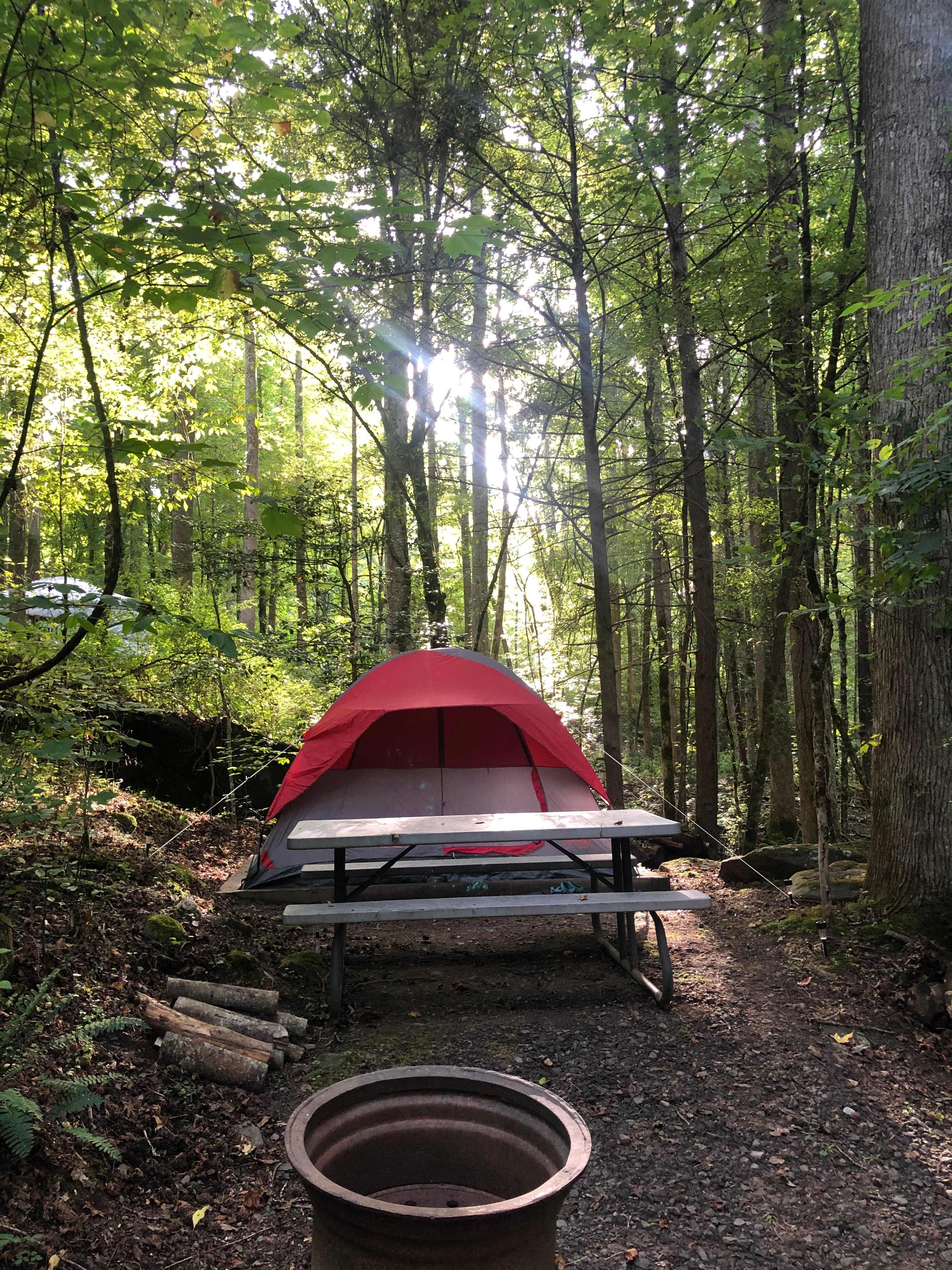 Perfect campsite