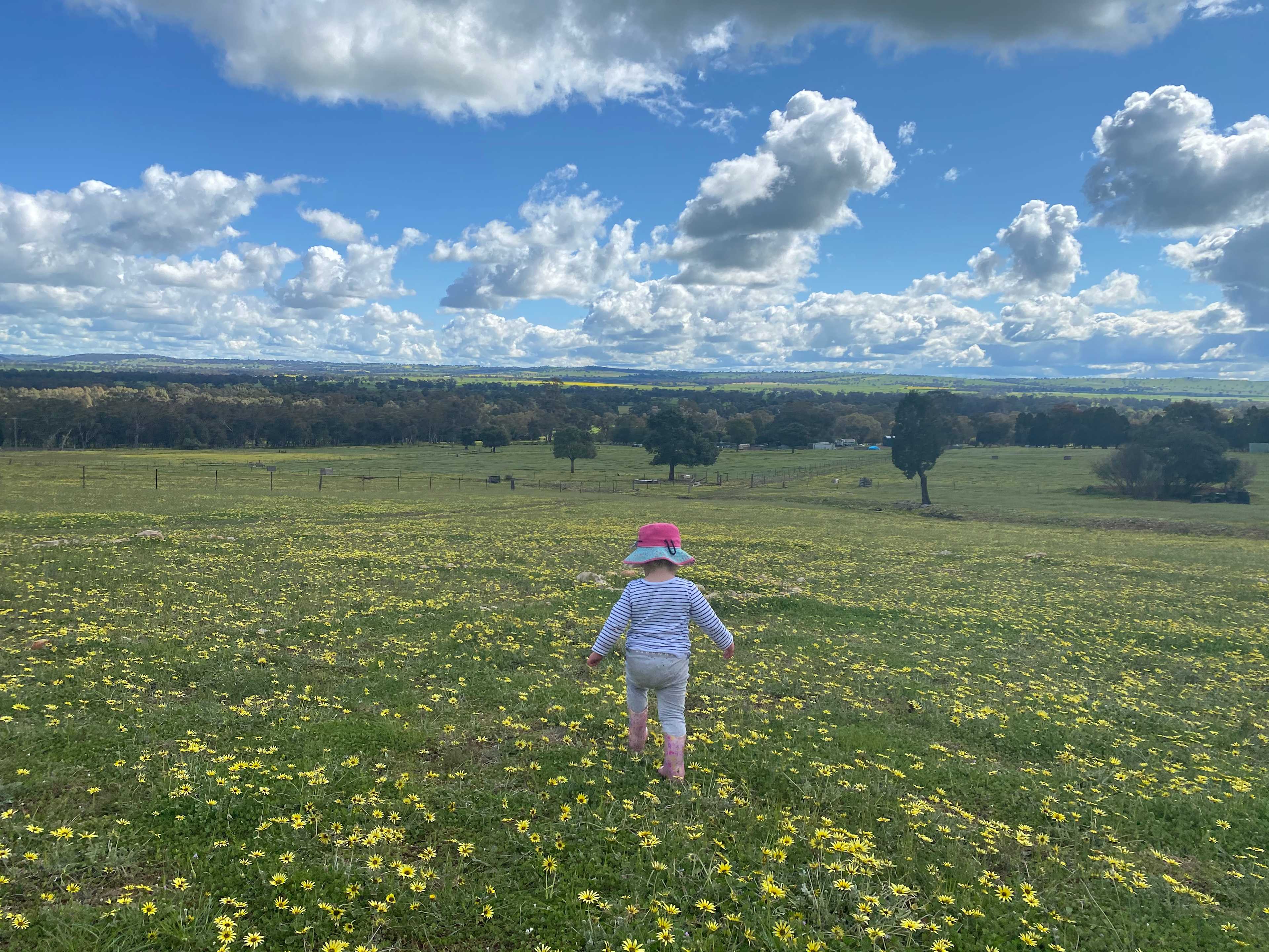 Quamby Park Farm Stay & Petting Zoo NSW