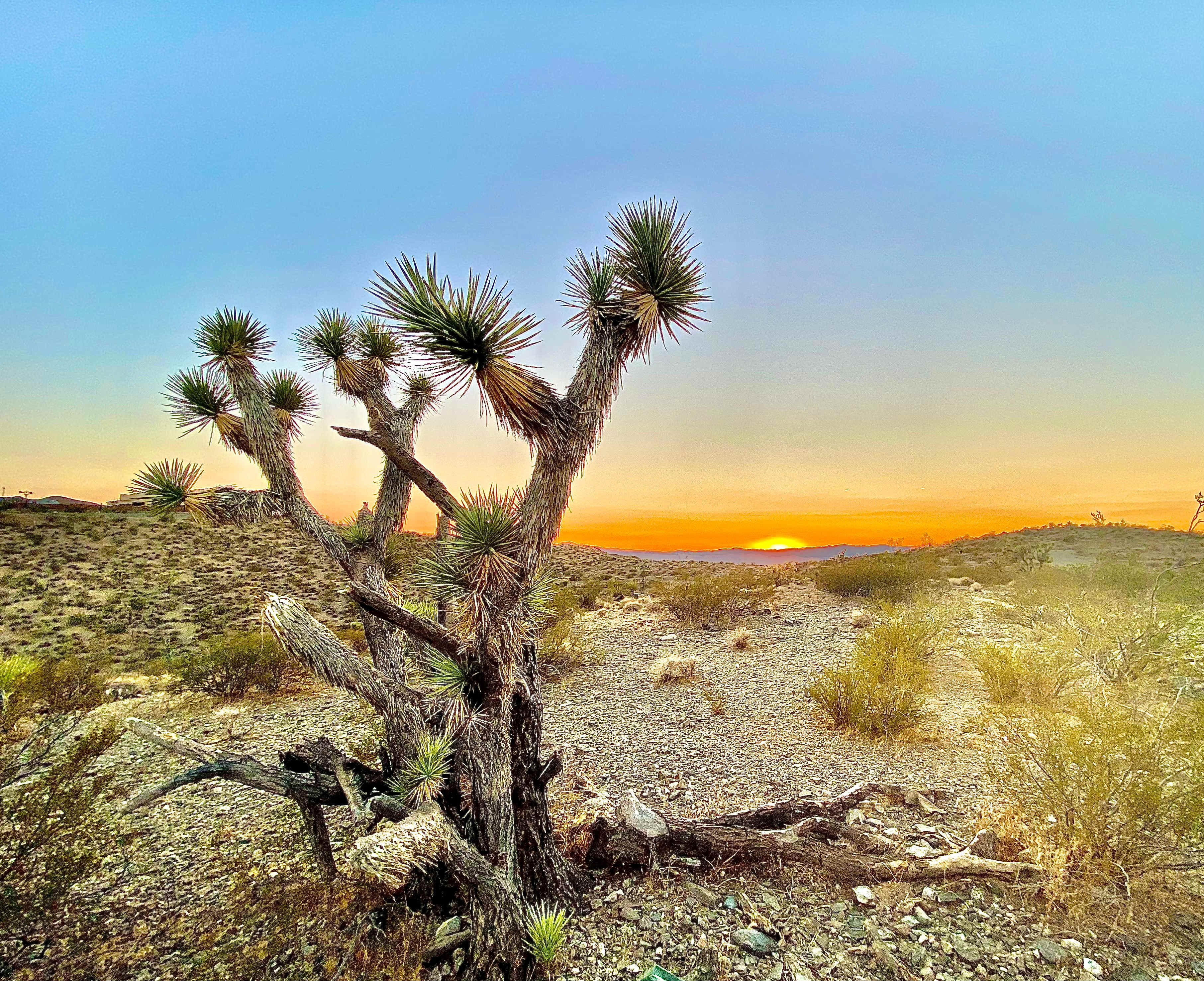 Lake Mead Overlook - Meadview