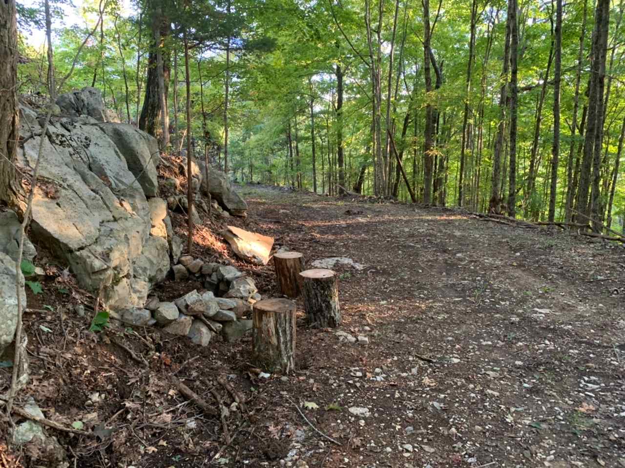 Lower level for walk-in tent and hammock campers. This area has more privacy.