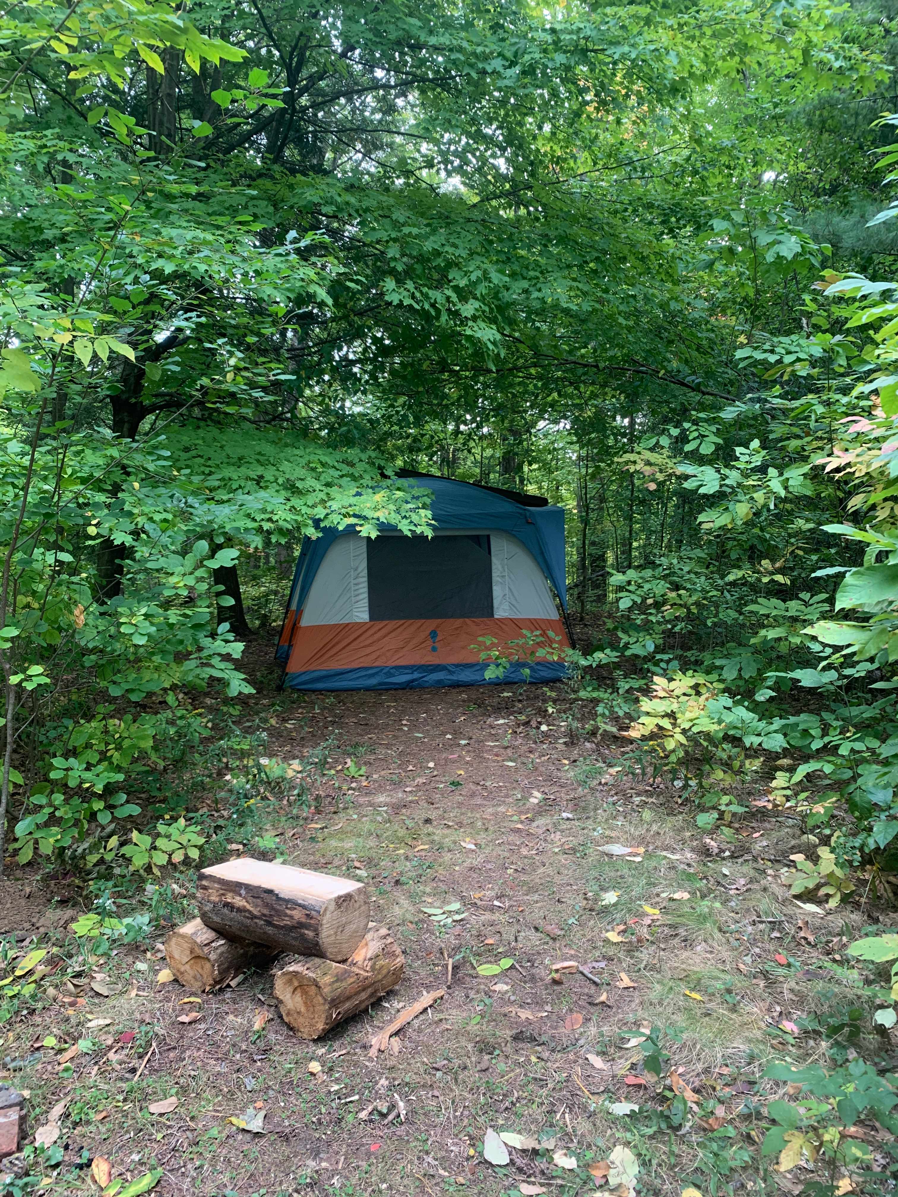My tent at site 1. 
