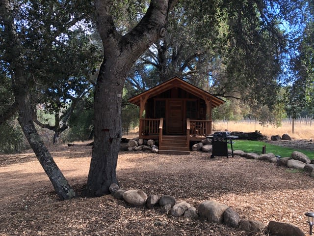 Redwood Cabin nestled in the oaks