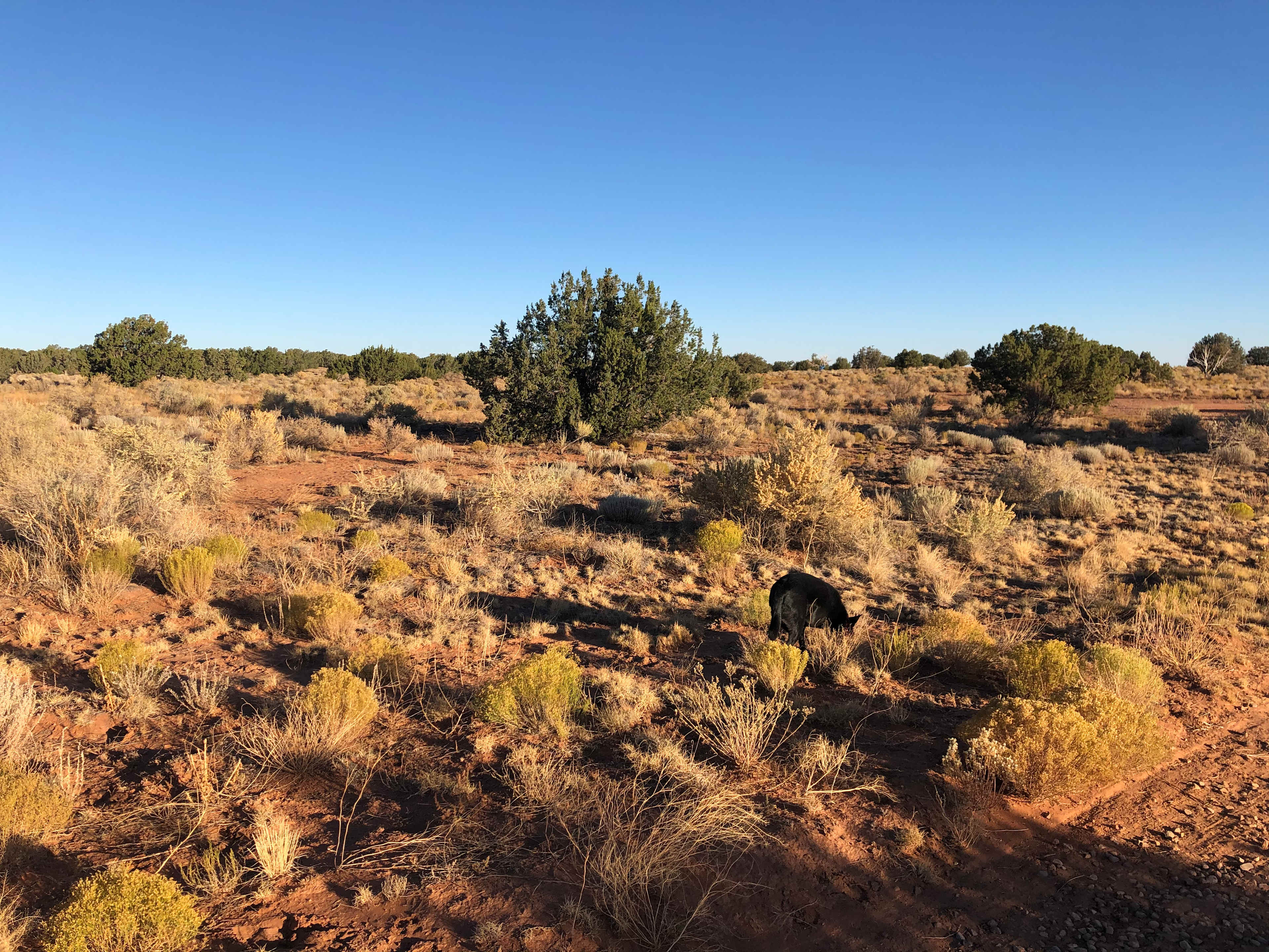 Lancelot desert camping