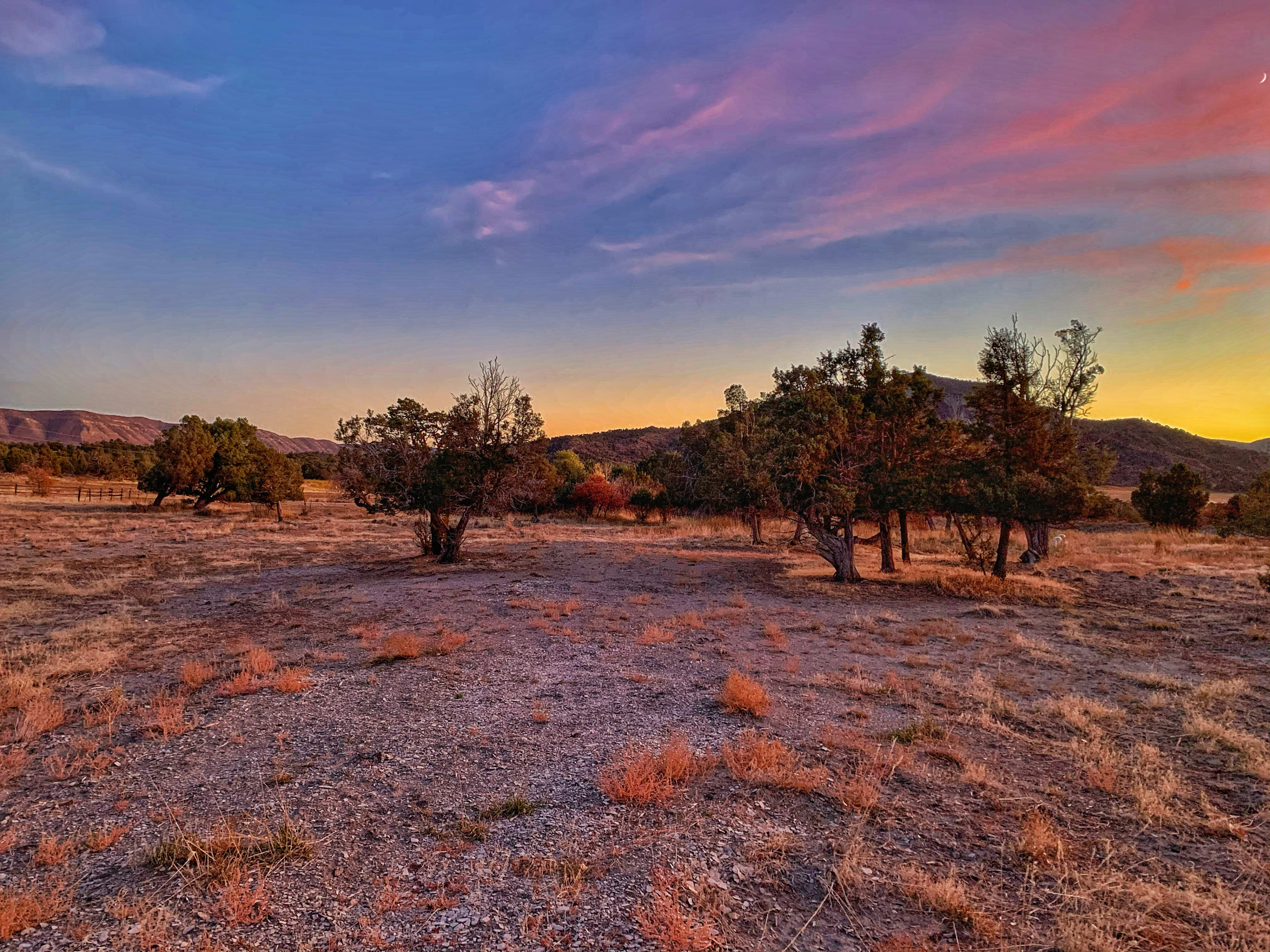 Dry RV site w/ Views of Mesa Verde