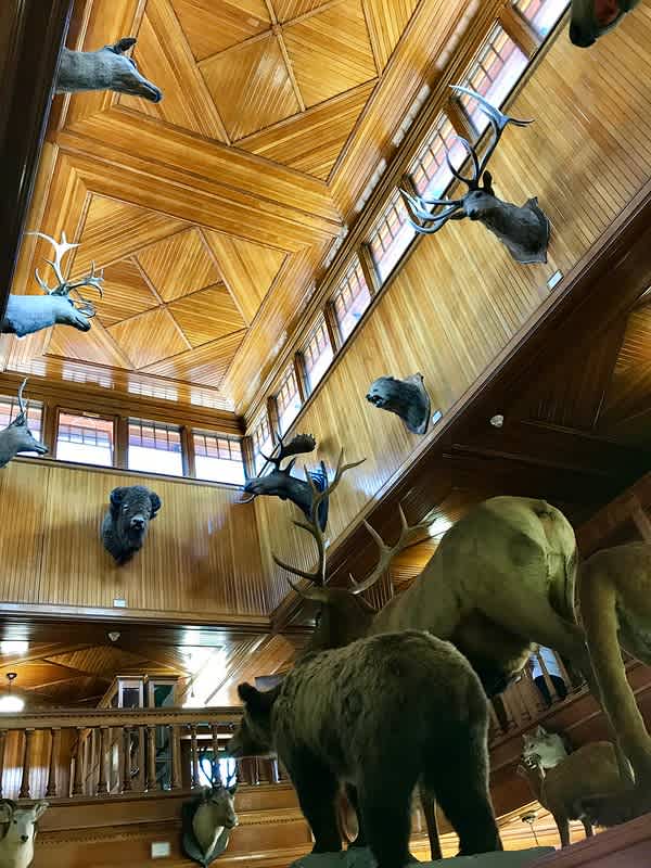 Banff Park Museum National Historic Site