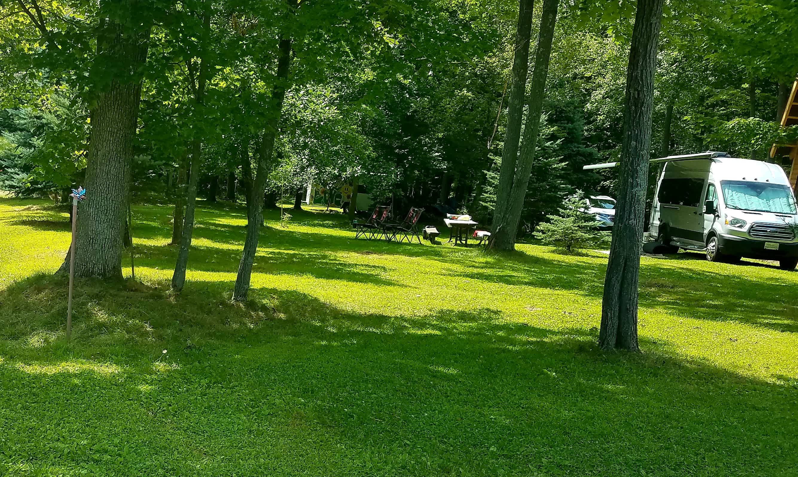 Site 3 - Campers can choose to be hugged by many tree or to have open camp space like in this option.