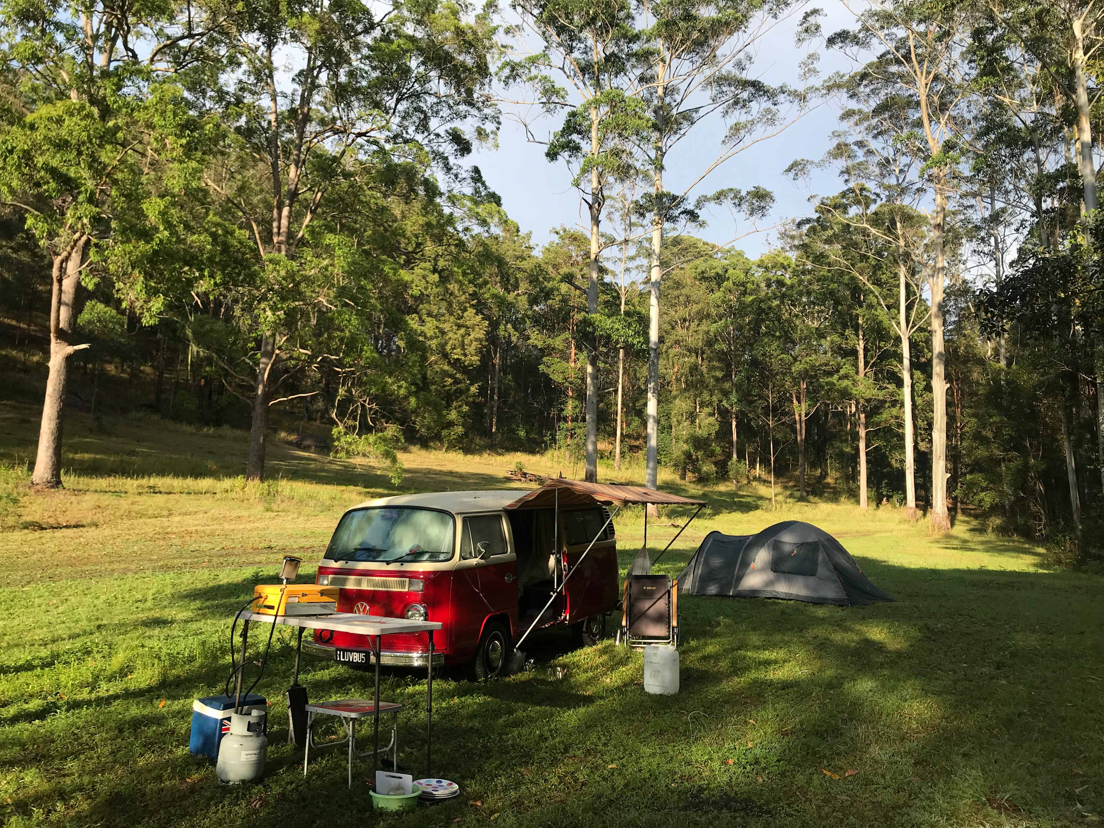 Beautiful spot surrounded by trees