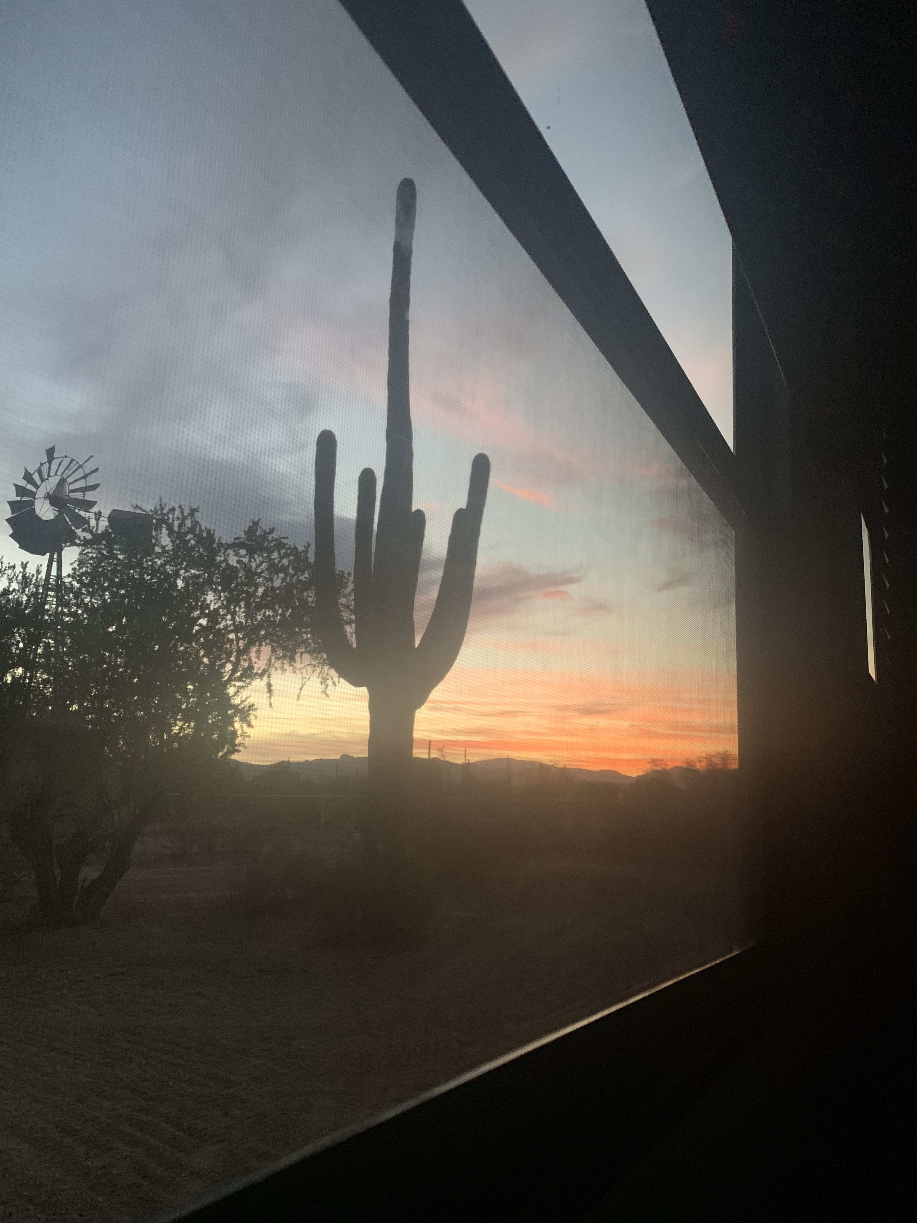 Watching the sunrise through the window