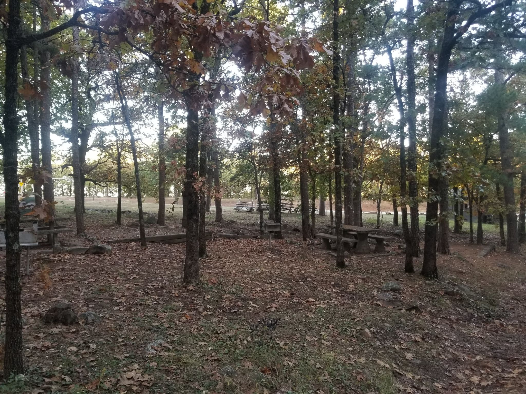 site features 2 tent pads with space for a couple other tents. Also has 2 tables and a grill