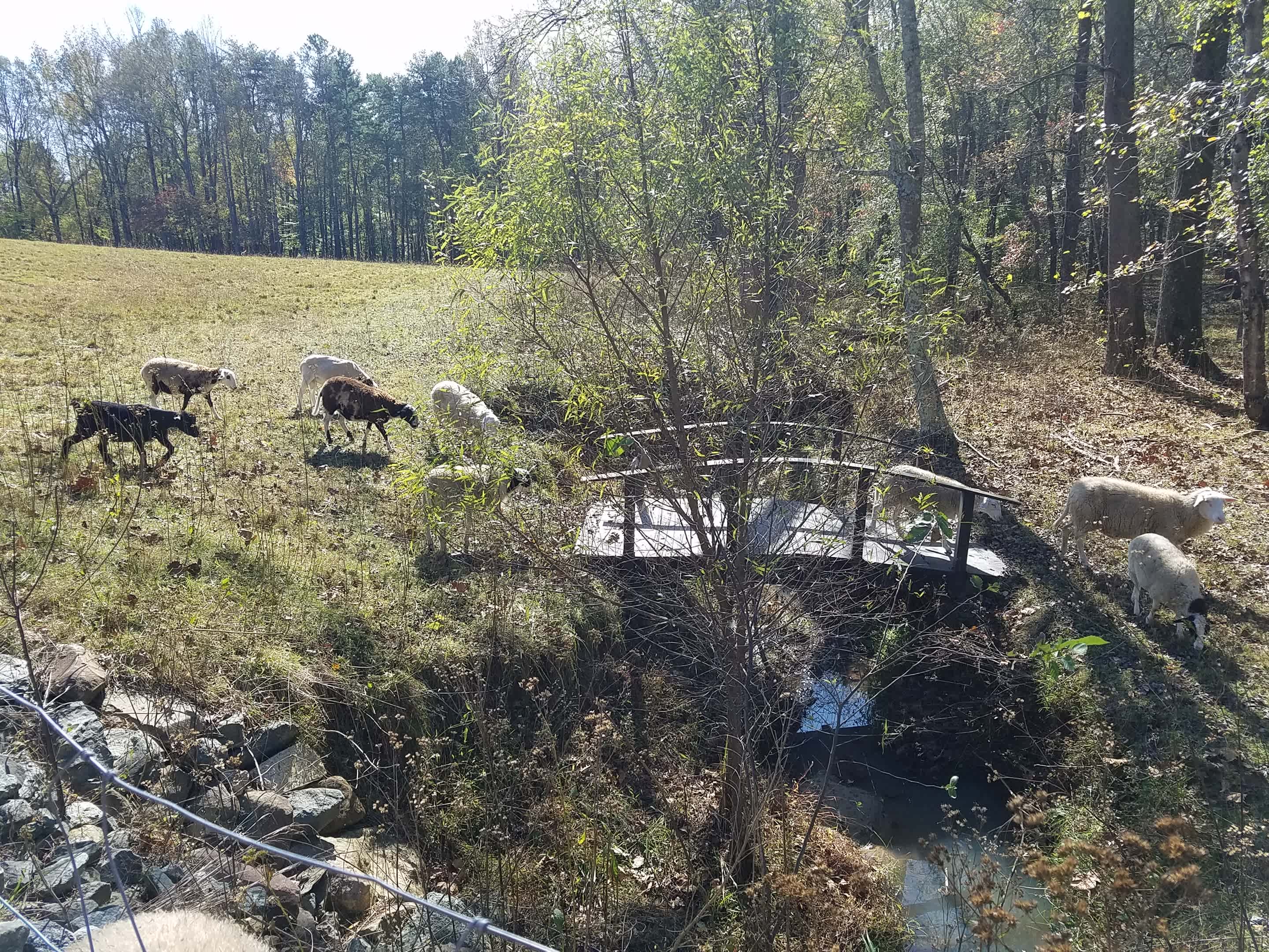 Brookhaven Mill Farm