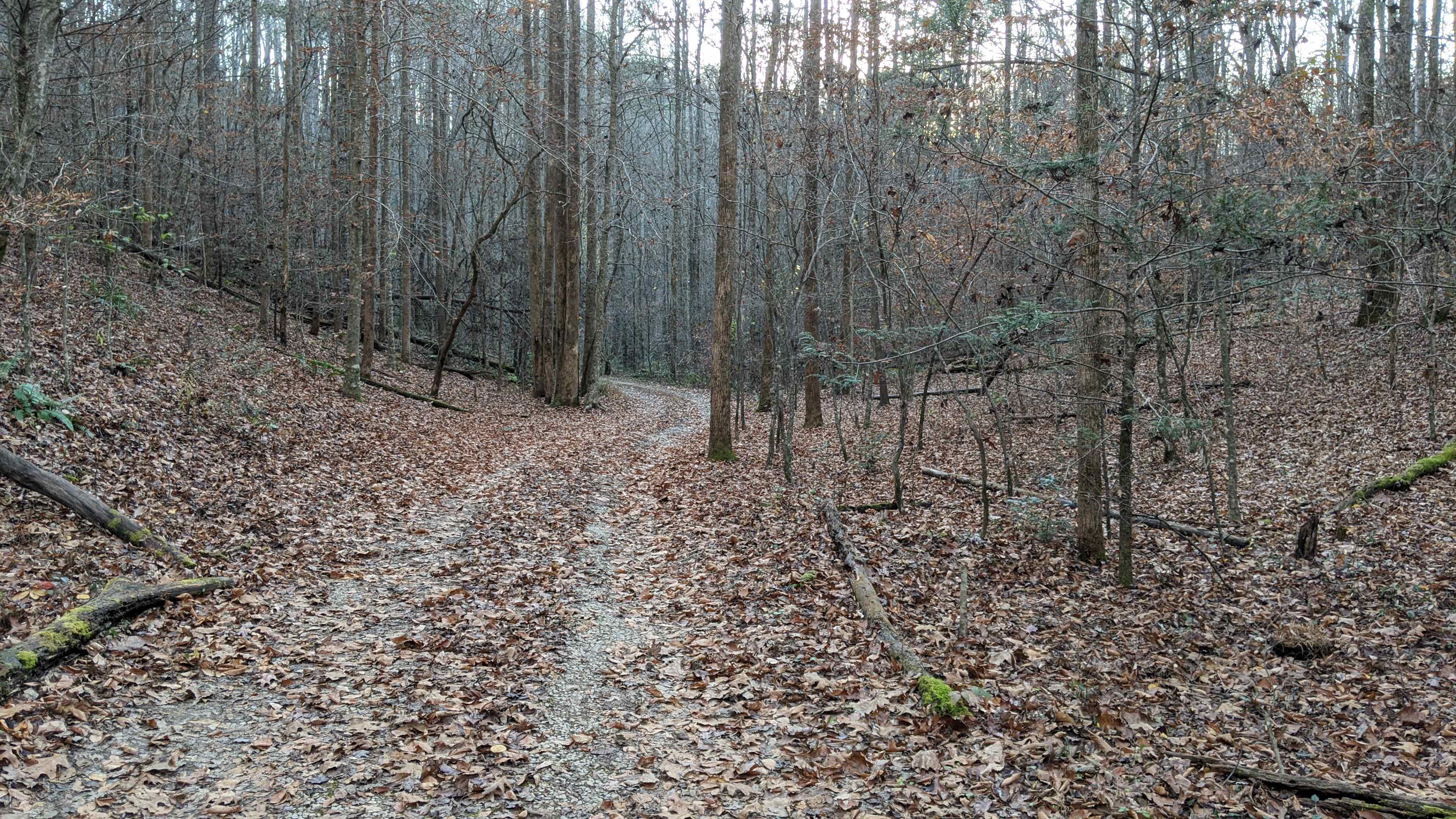 Shoestring Creek Campground