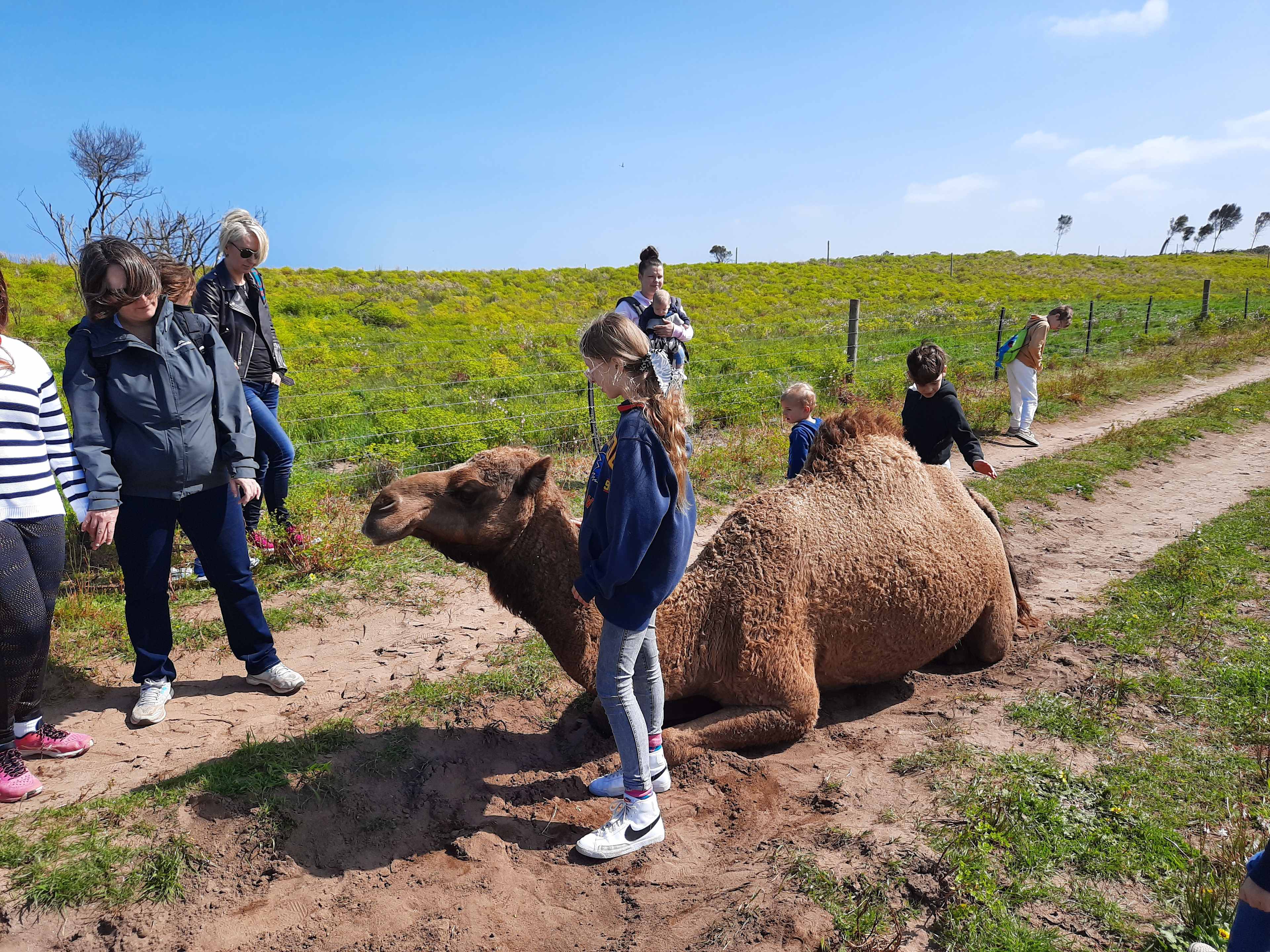 Robe Camel Farm - Self Contained Campers Only