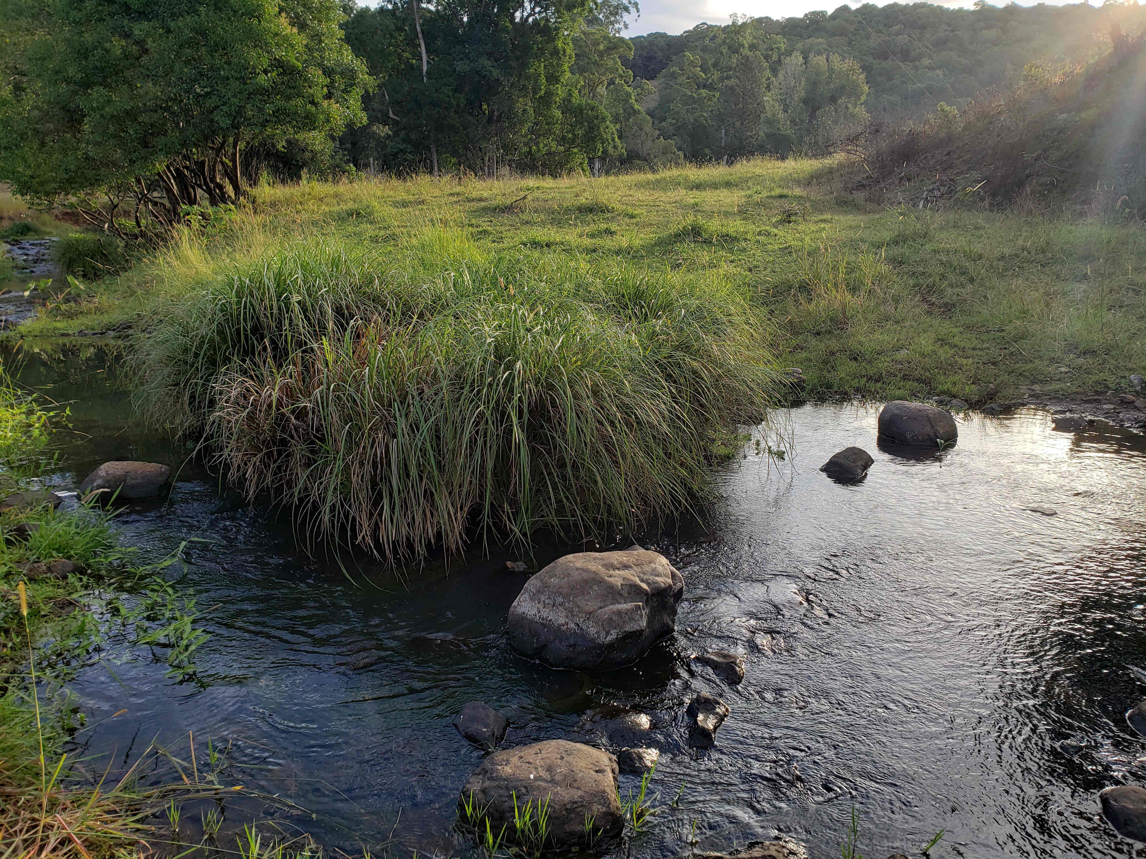 Creek View