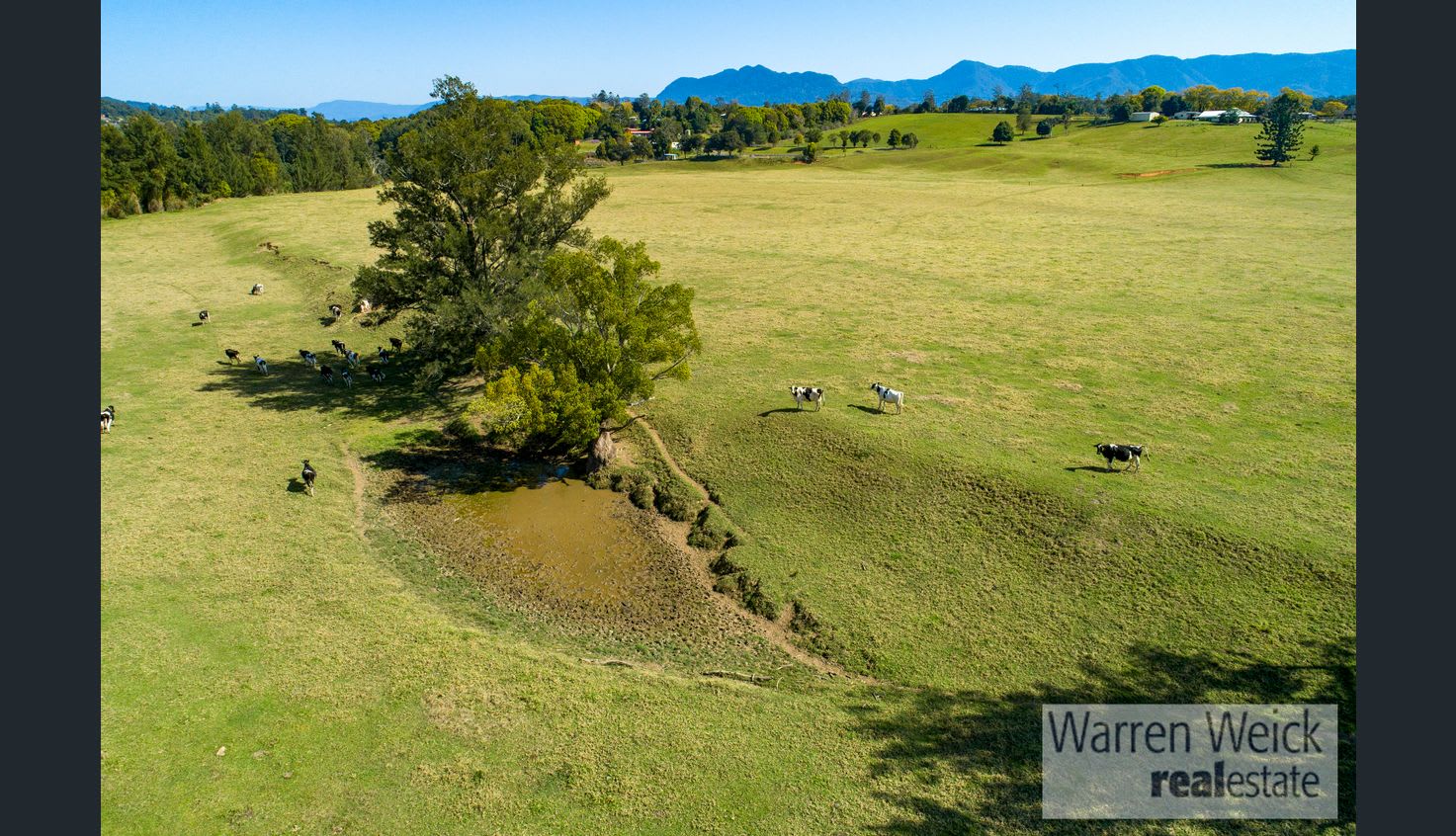 Bellinger River Camping