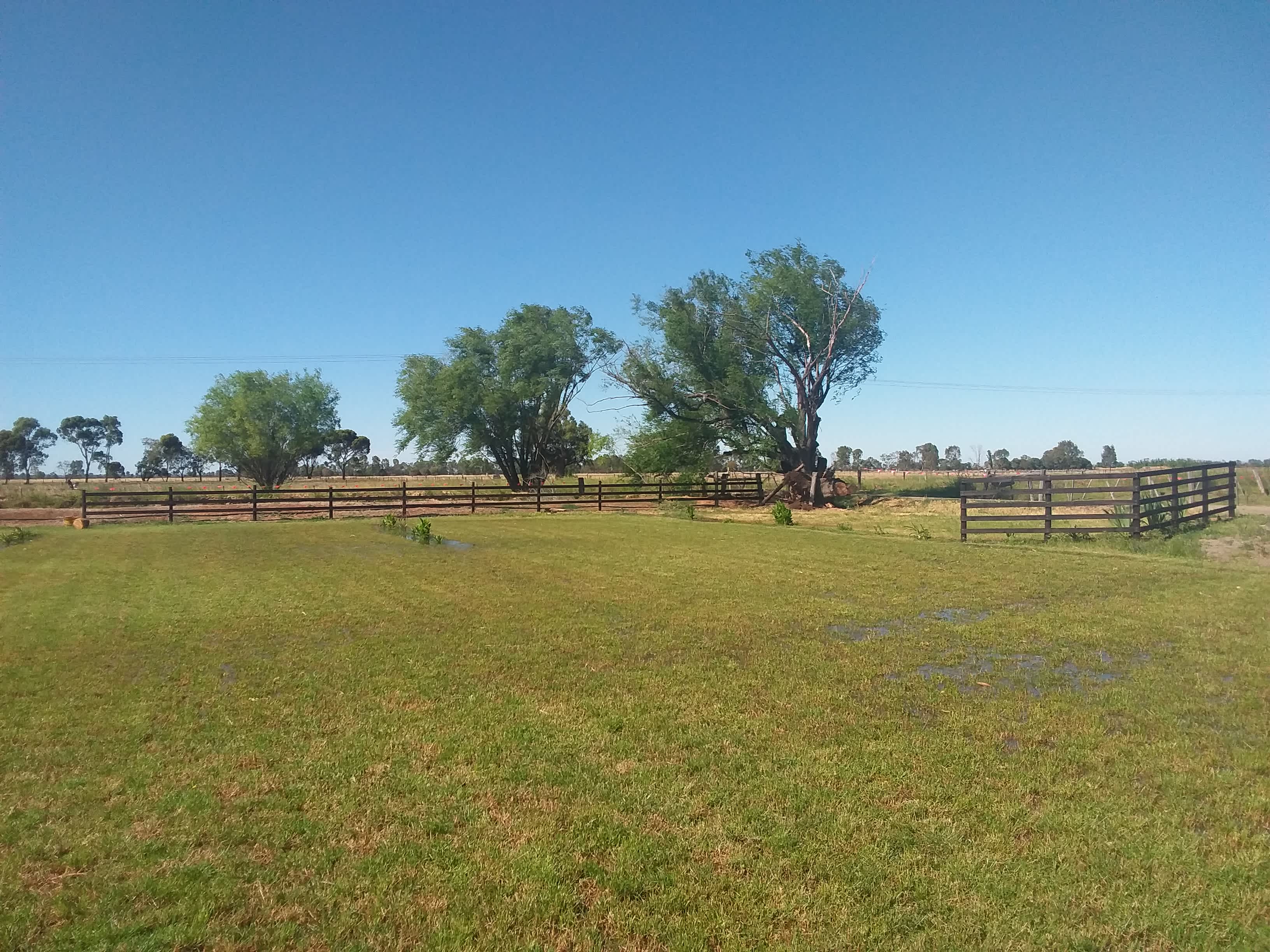 Ellesmere Park Farm Stay