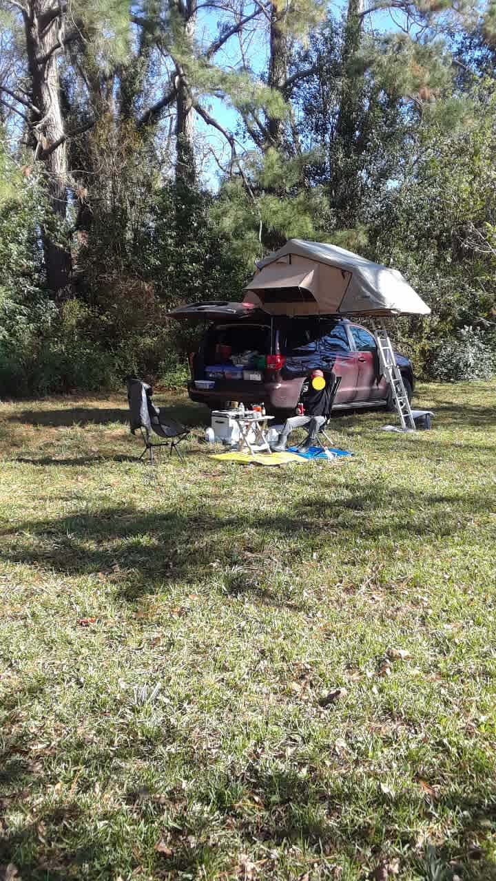 Louisiana Plantation River Bank