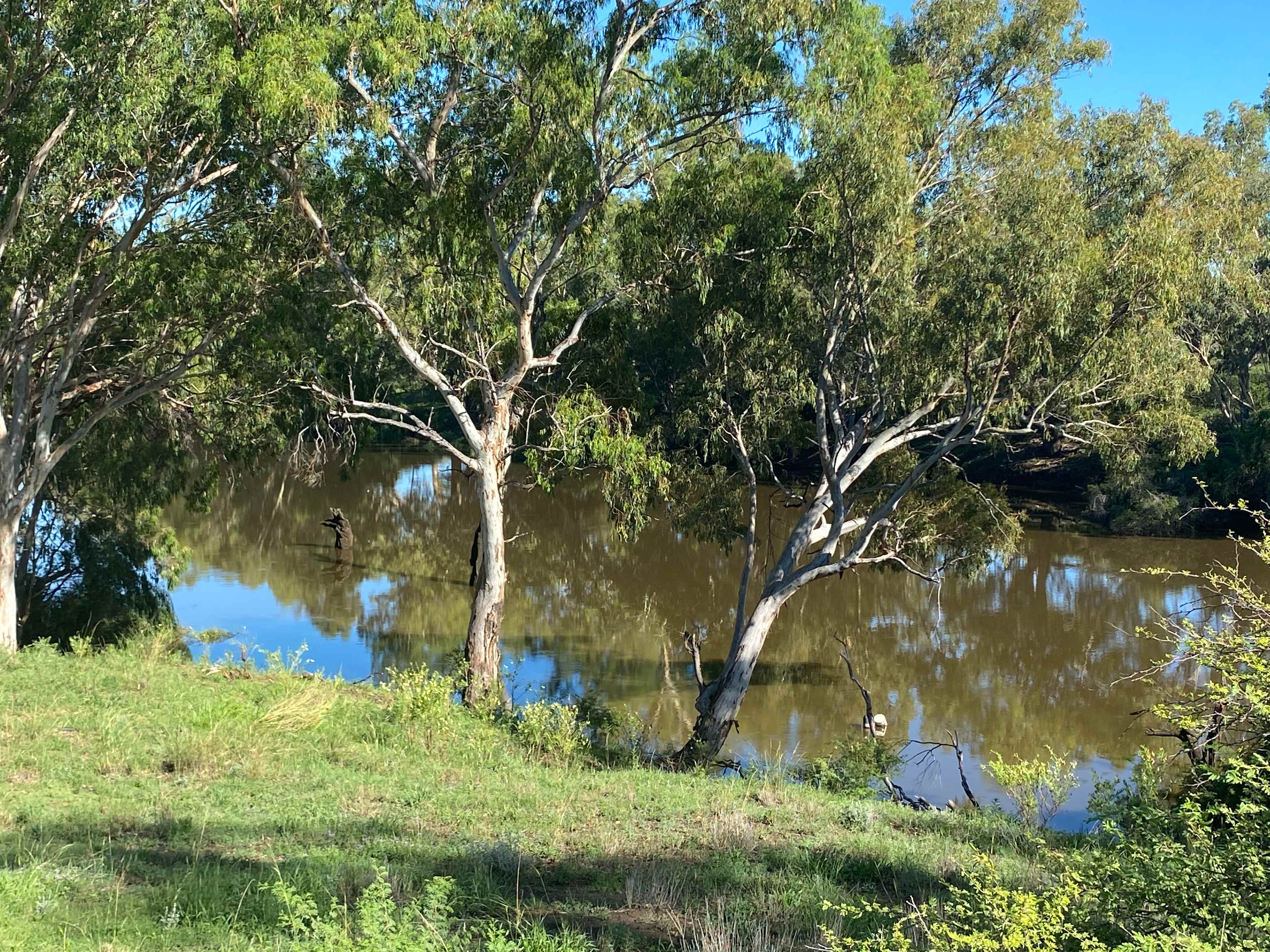 Wongalea Fishing and Camping