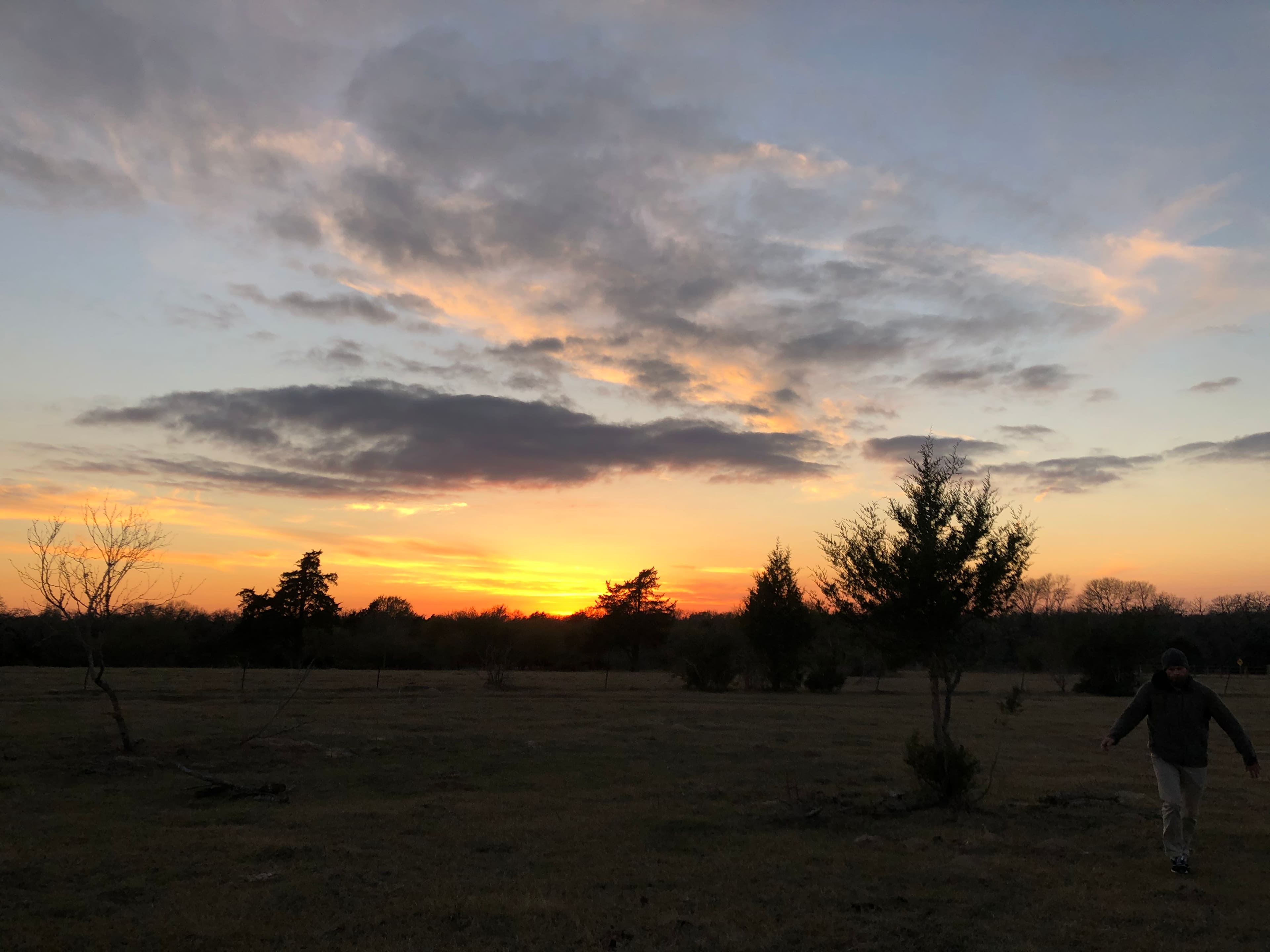 Sunset field