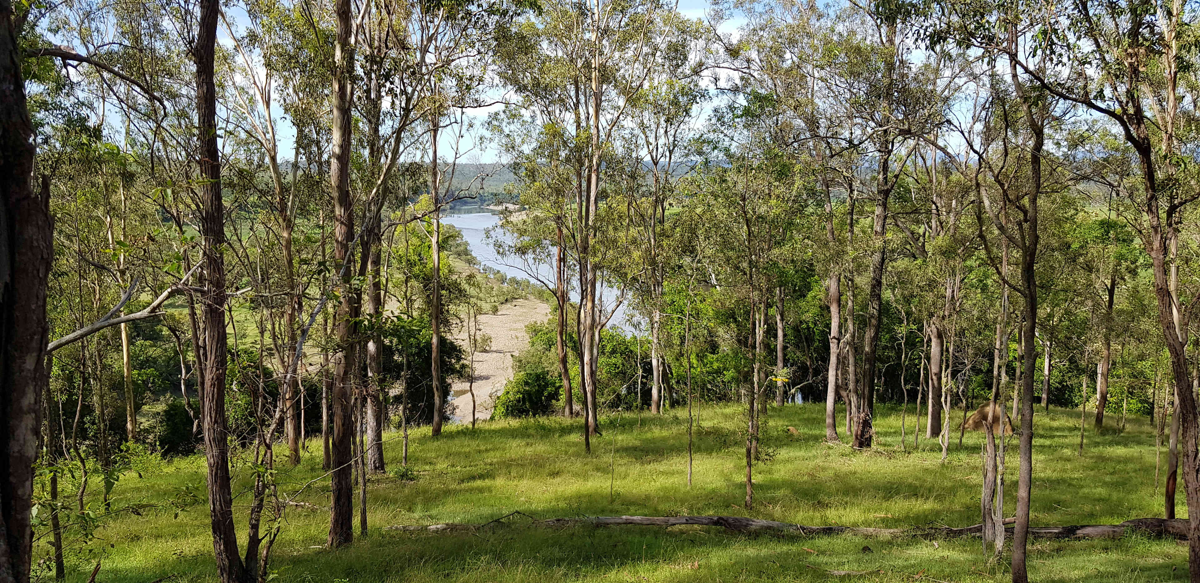 Winegrove