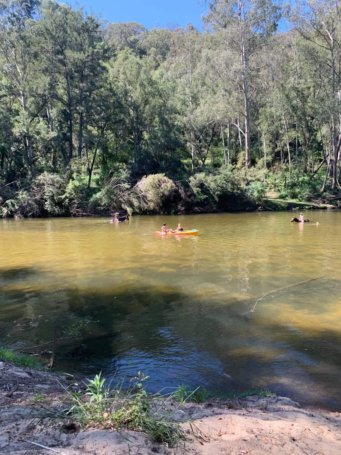 Shady Acres Colo River