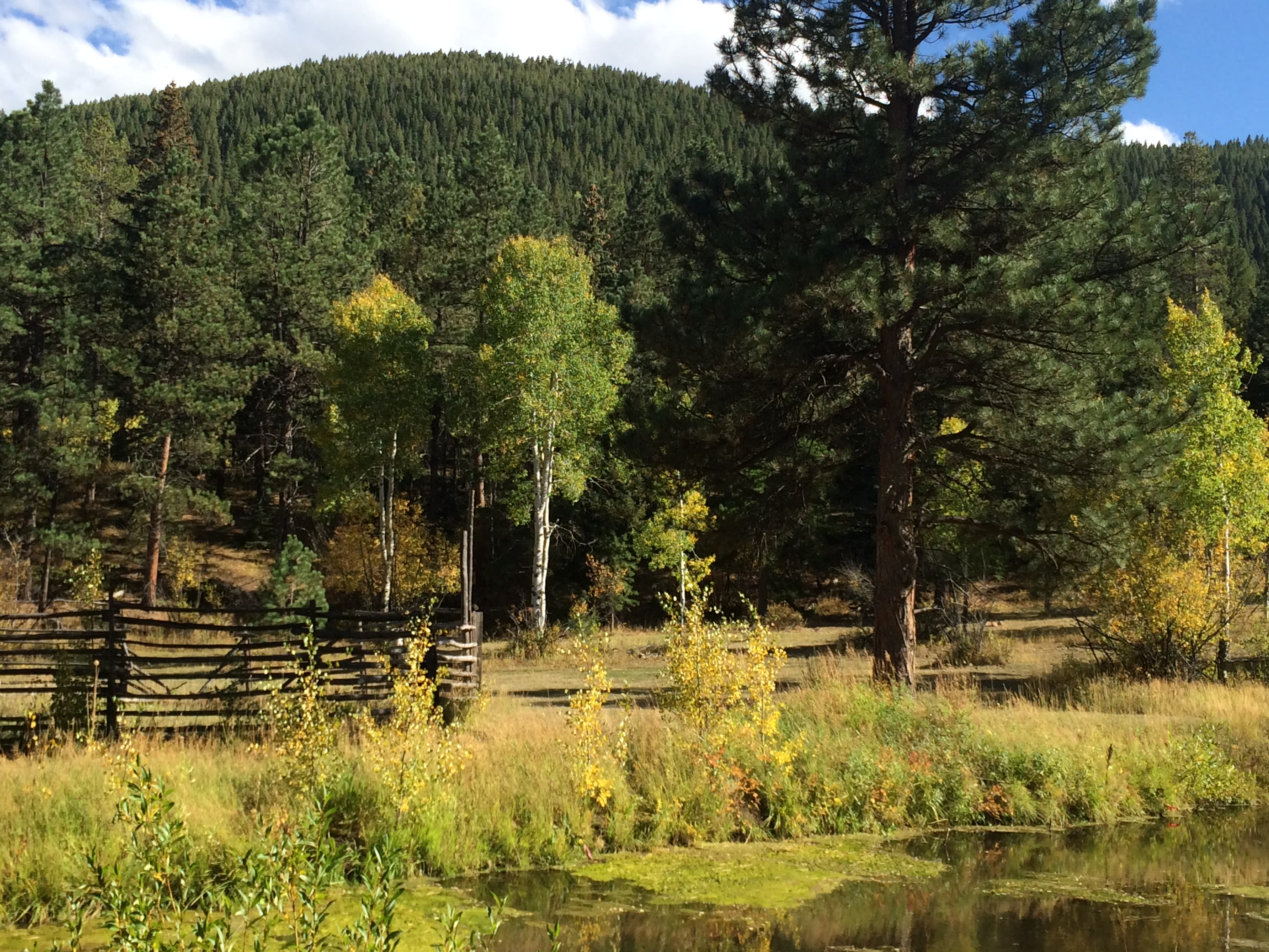 The old Corral and pond from the main ranch road.