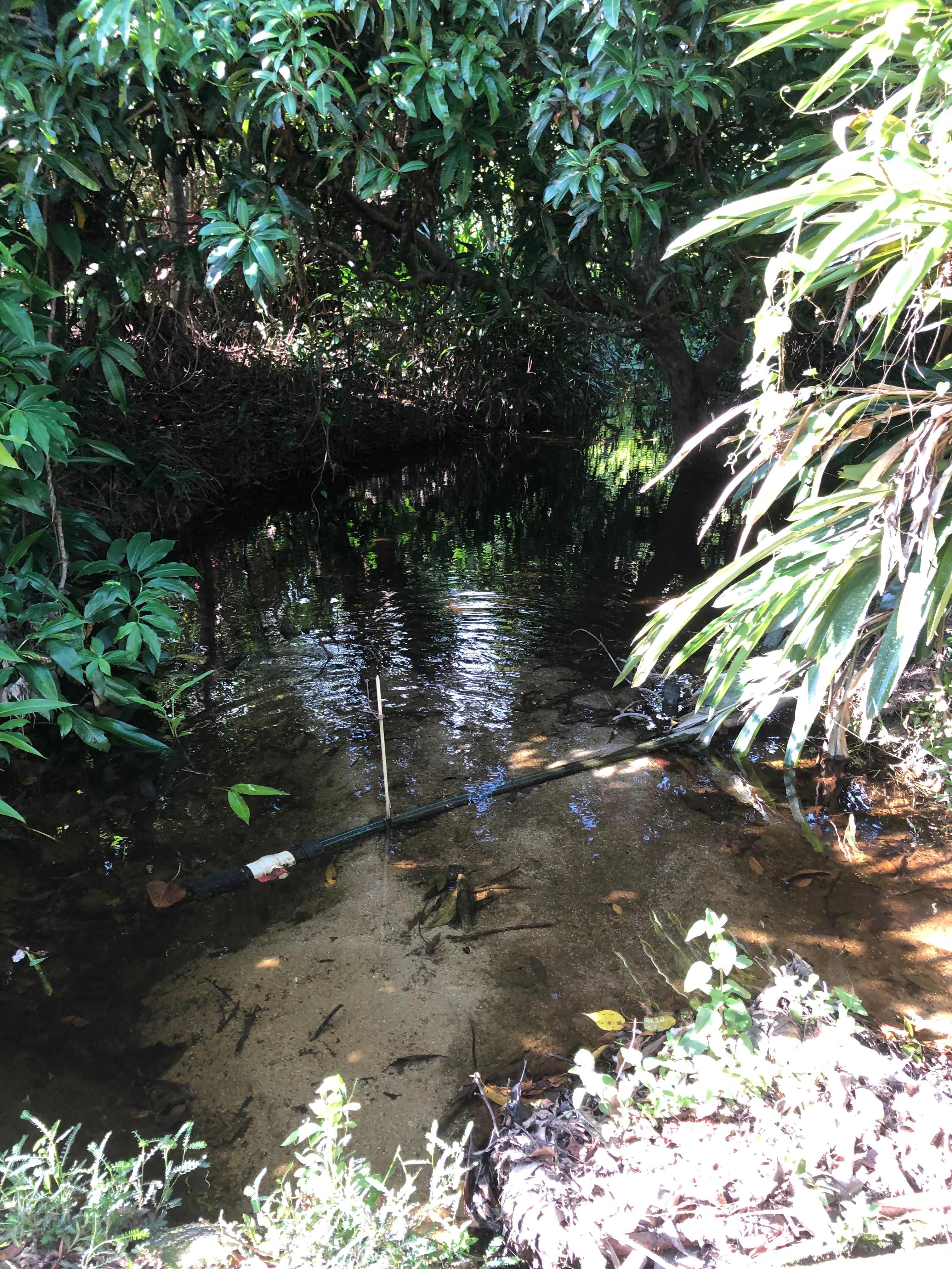 Pamona Park, nr Gordonvale