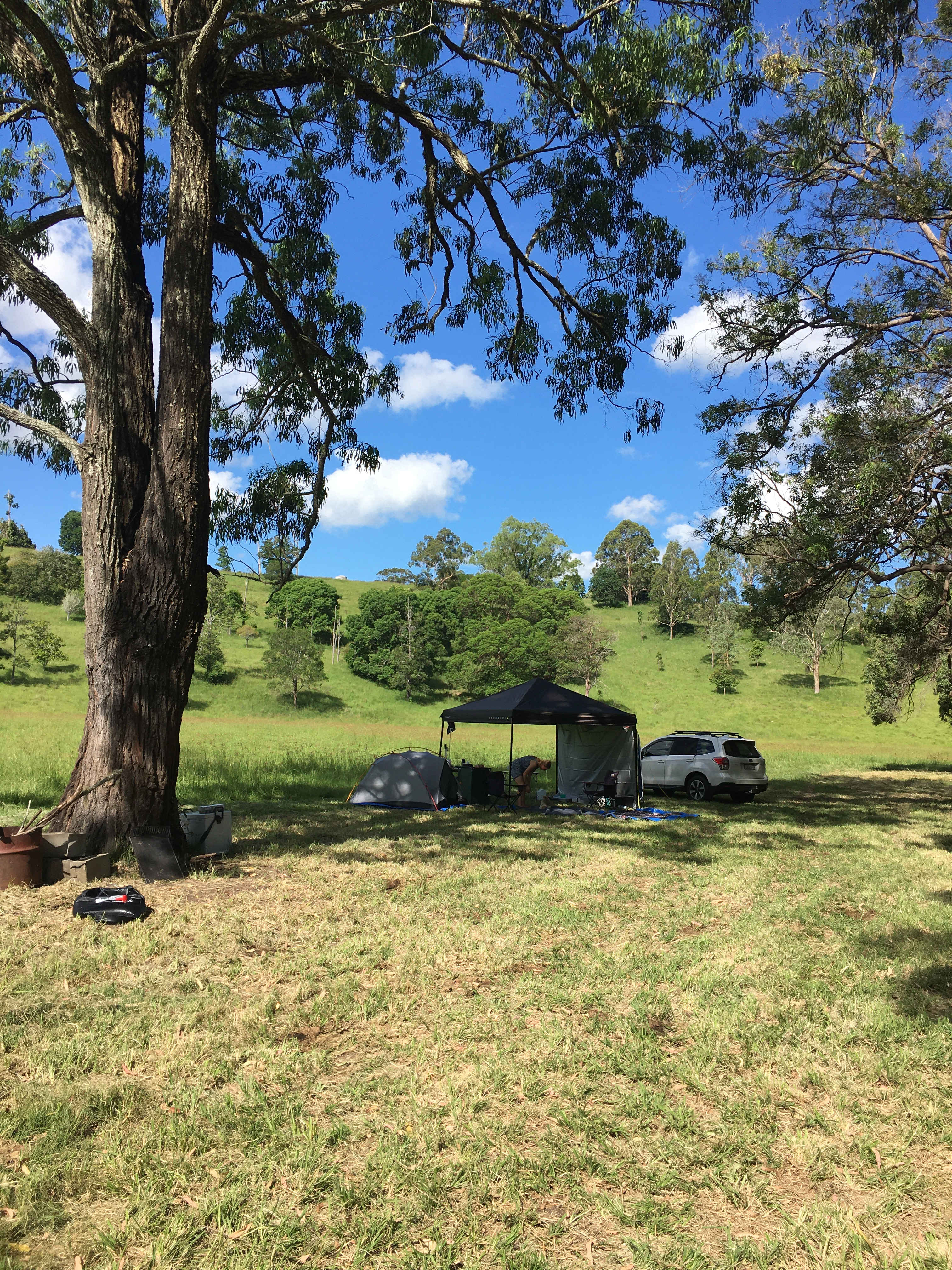 Campsite under shade of tree