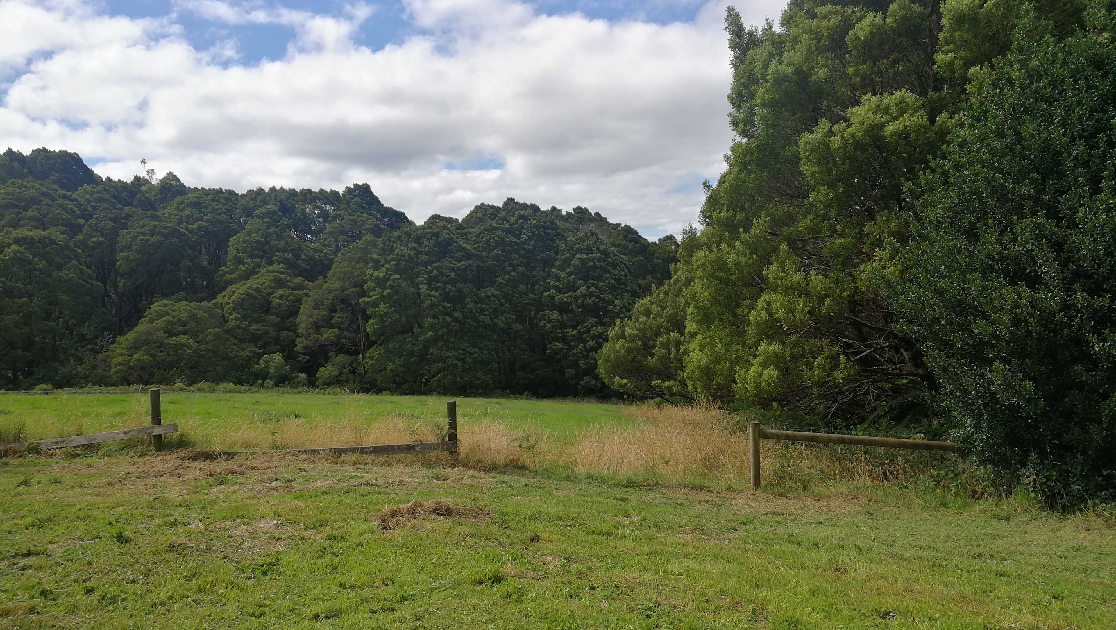 Ridgetop Campsite at St Anselms