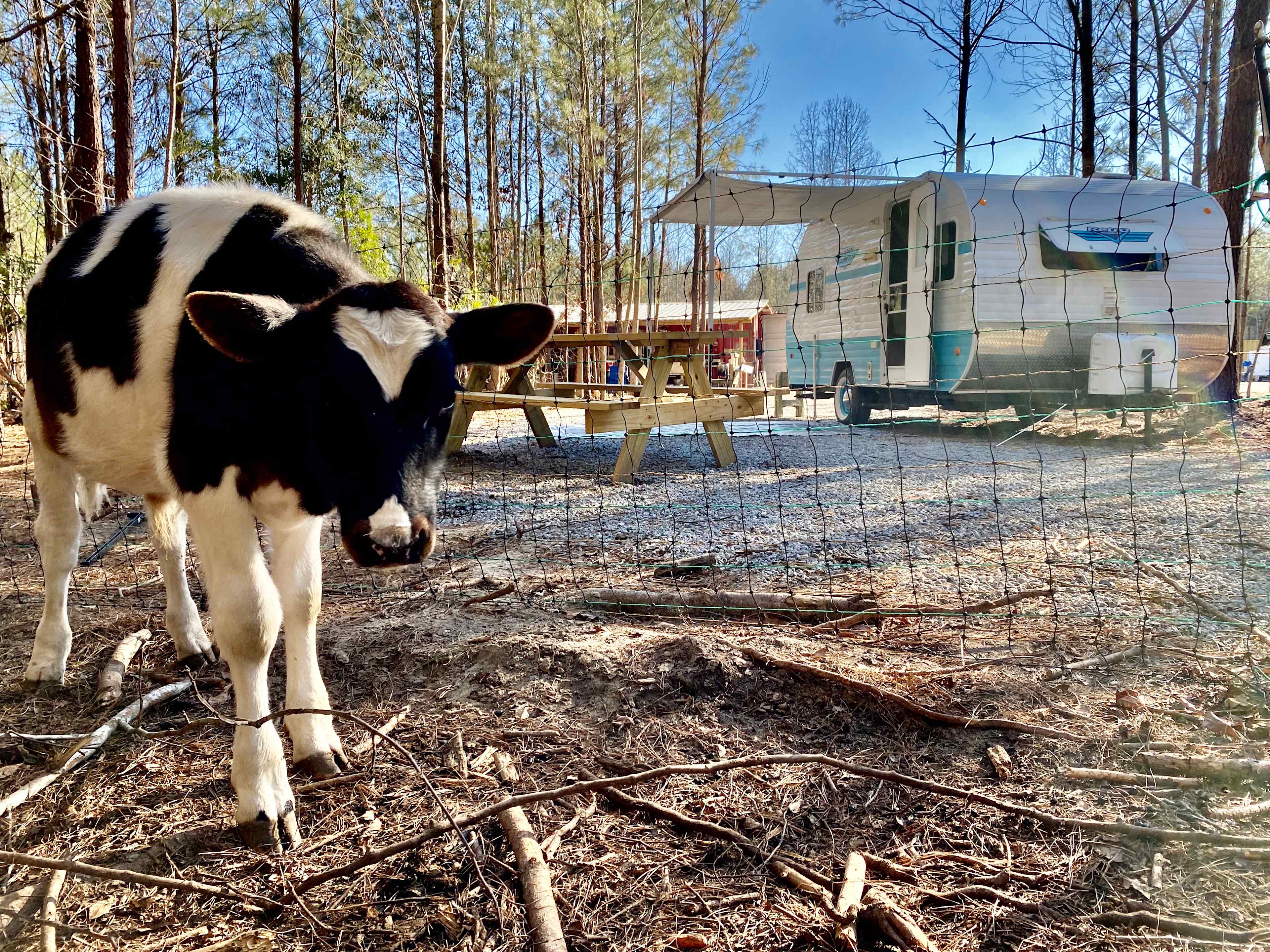 Whippoorwill Farms SC