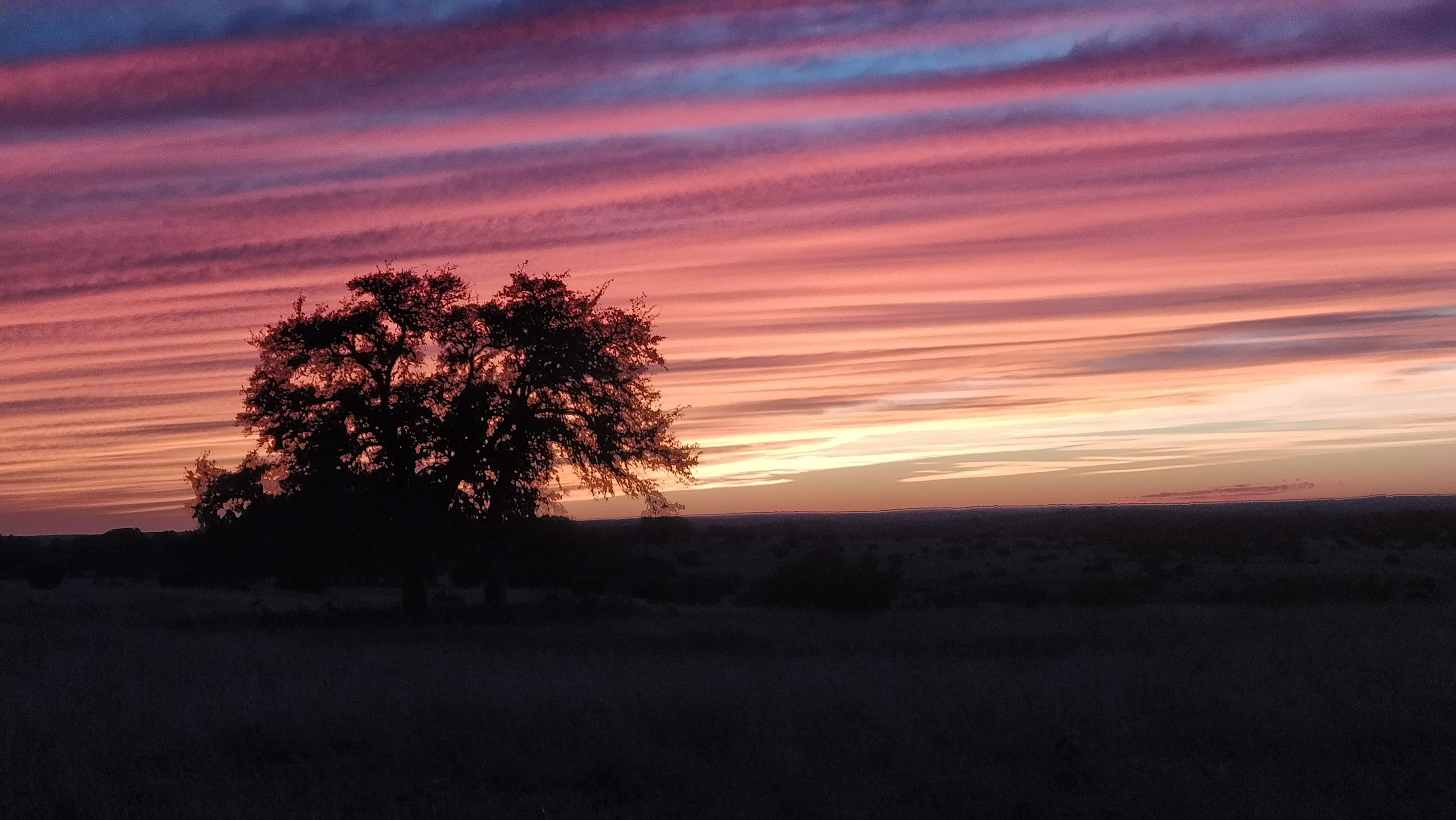 Grapevine Springs Retreat 