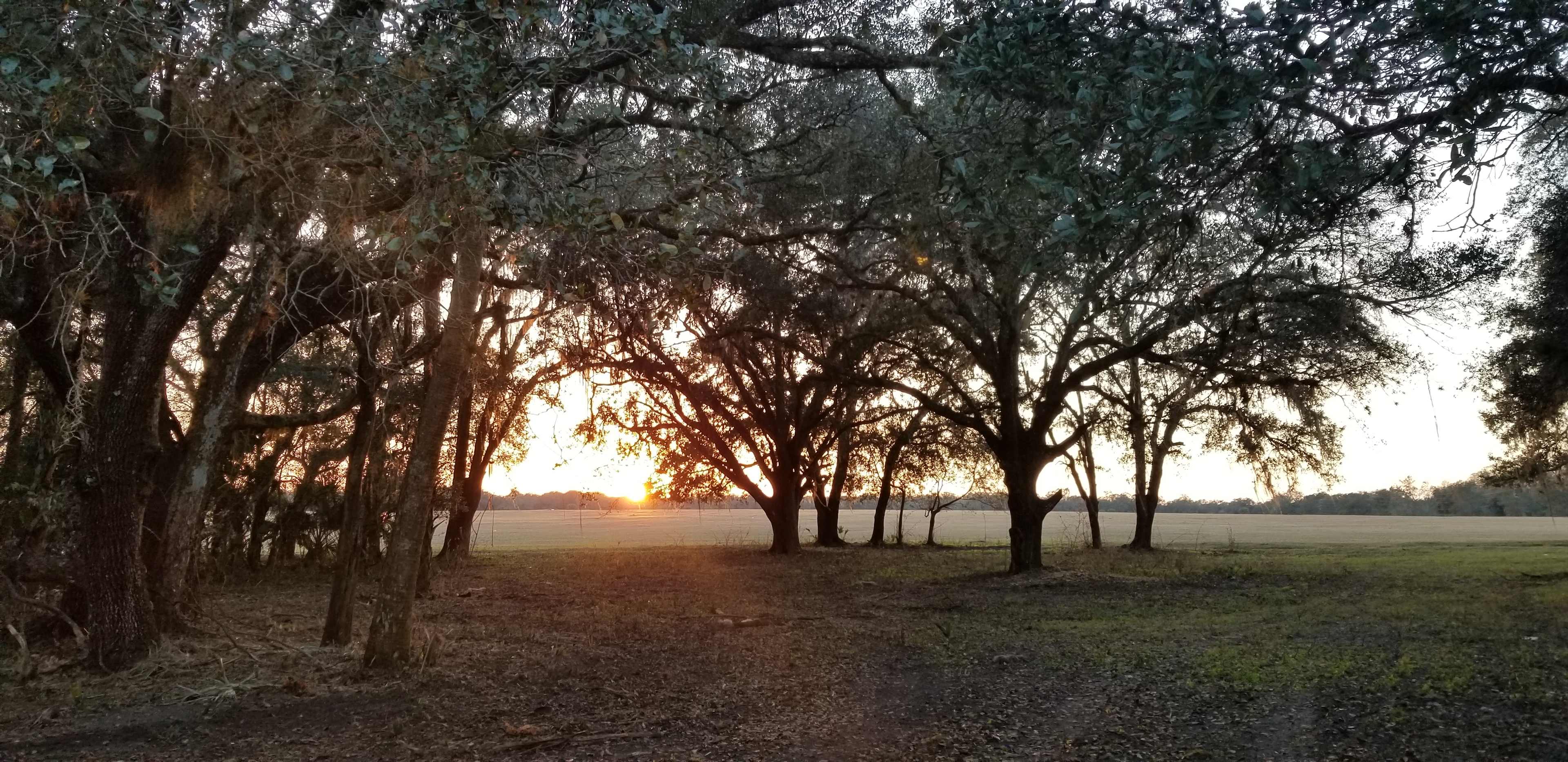 Beautiful sunset
