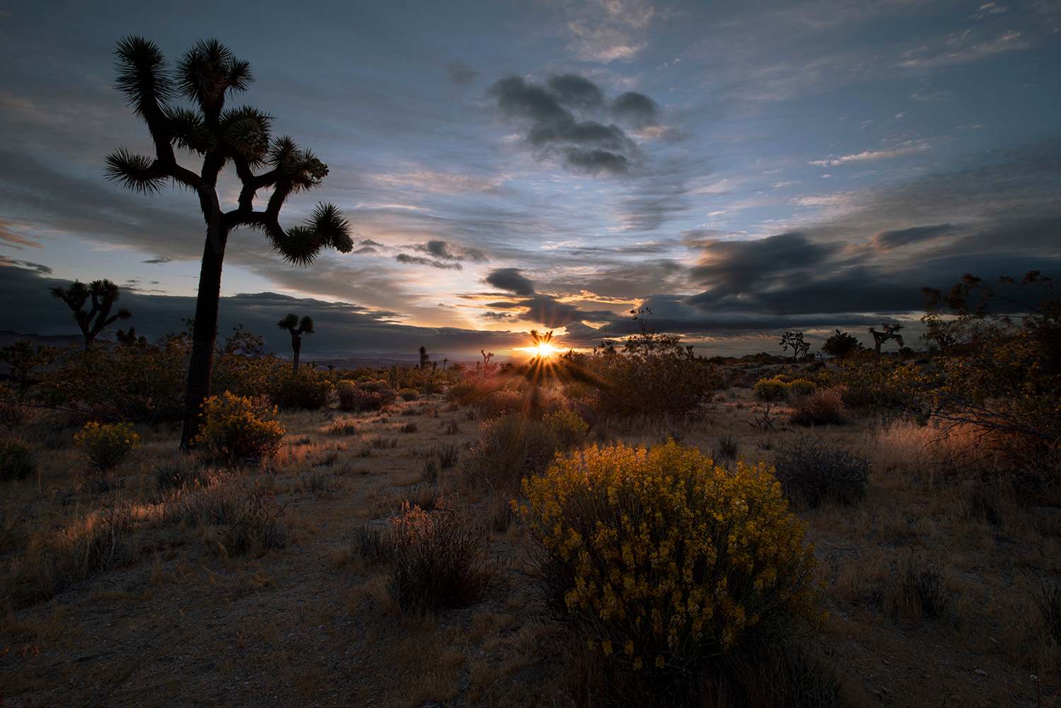 sunrises are epic year round in the high desert
-photo courtesy J Galaz