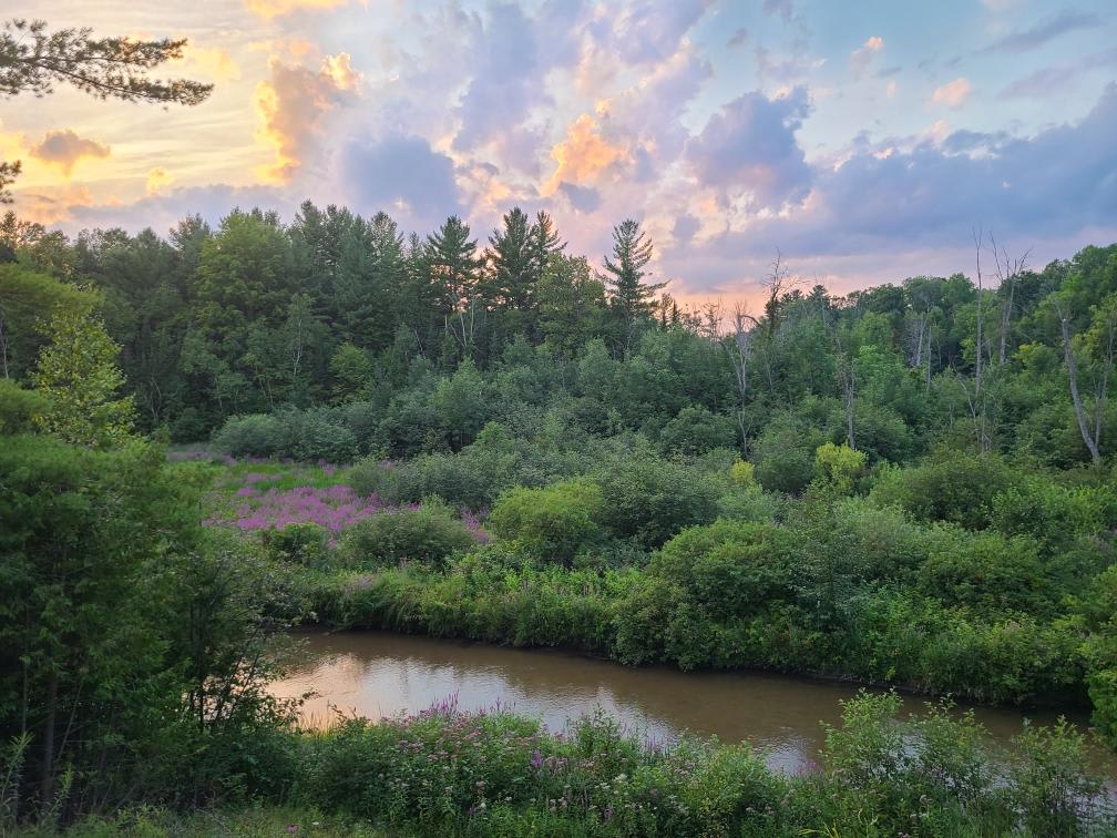 August on the River is in full bloom