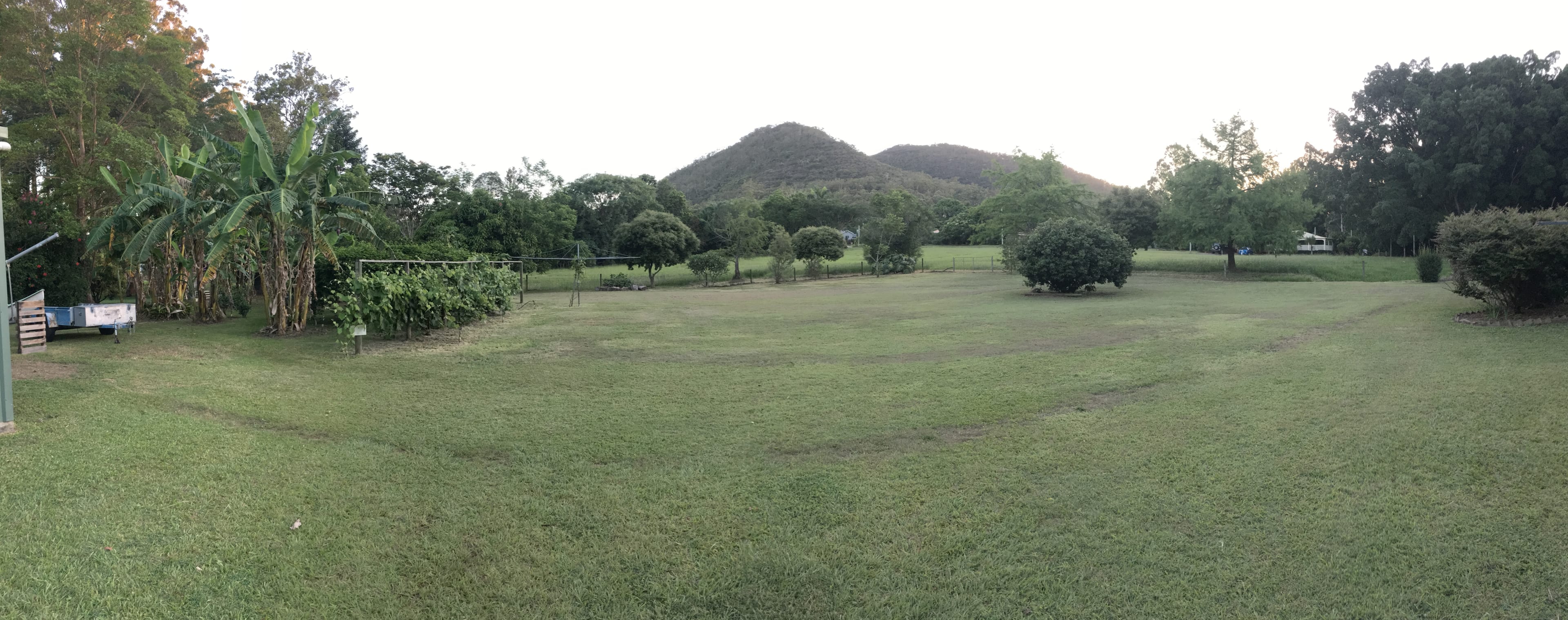 Panorama (2) of Orchard and Camp Area