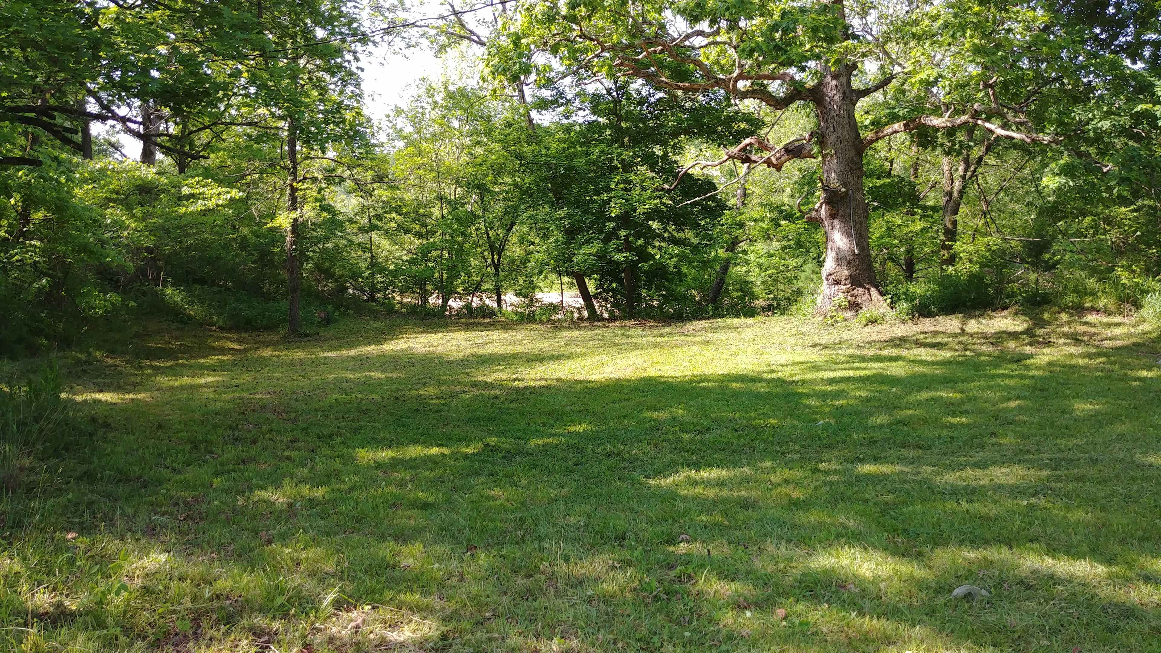 A Creek side Campsite, plenty of room for 3 or 4 tents.