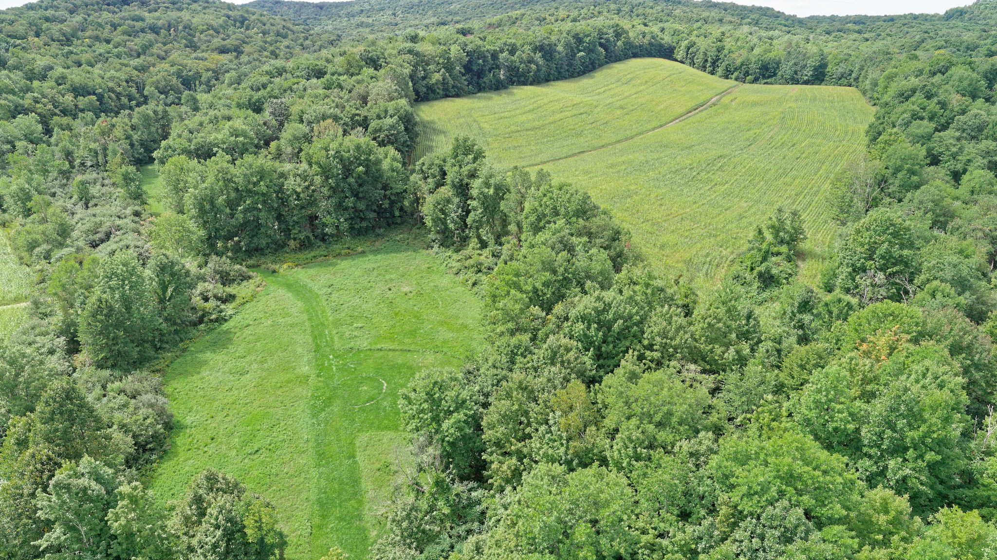 Andelyn Farm