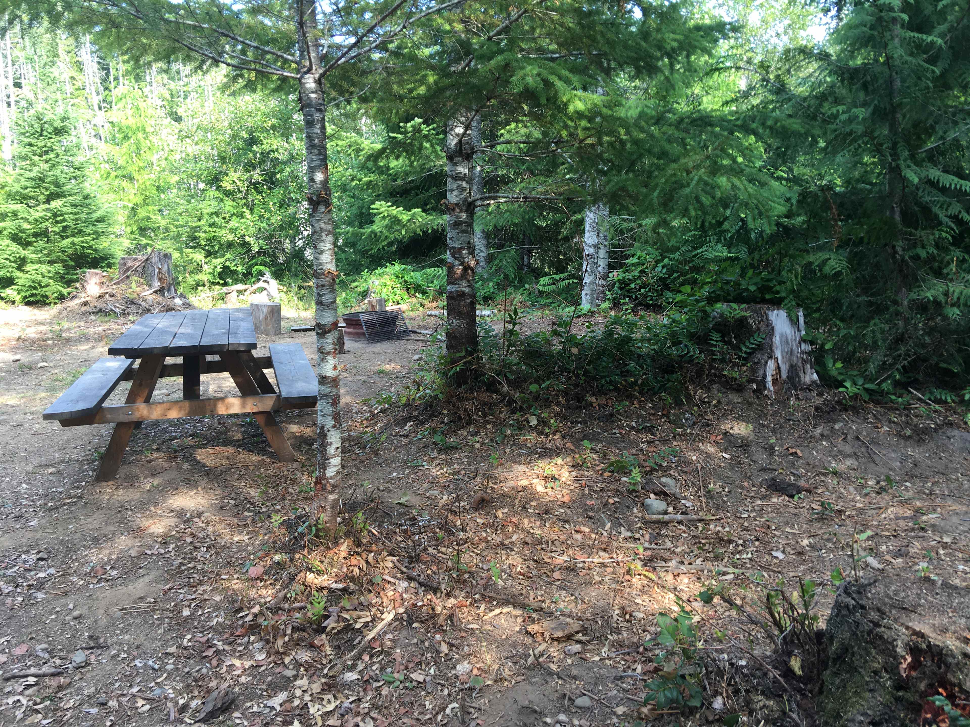 Maple Heart Ranch - Homestead