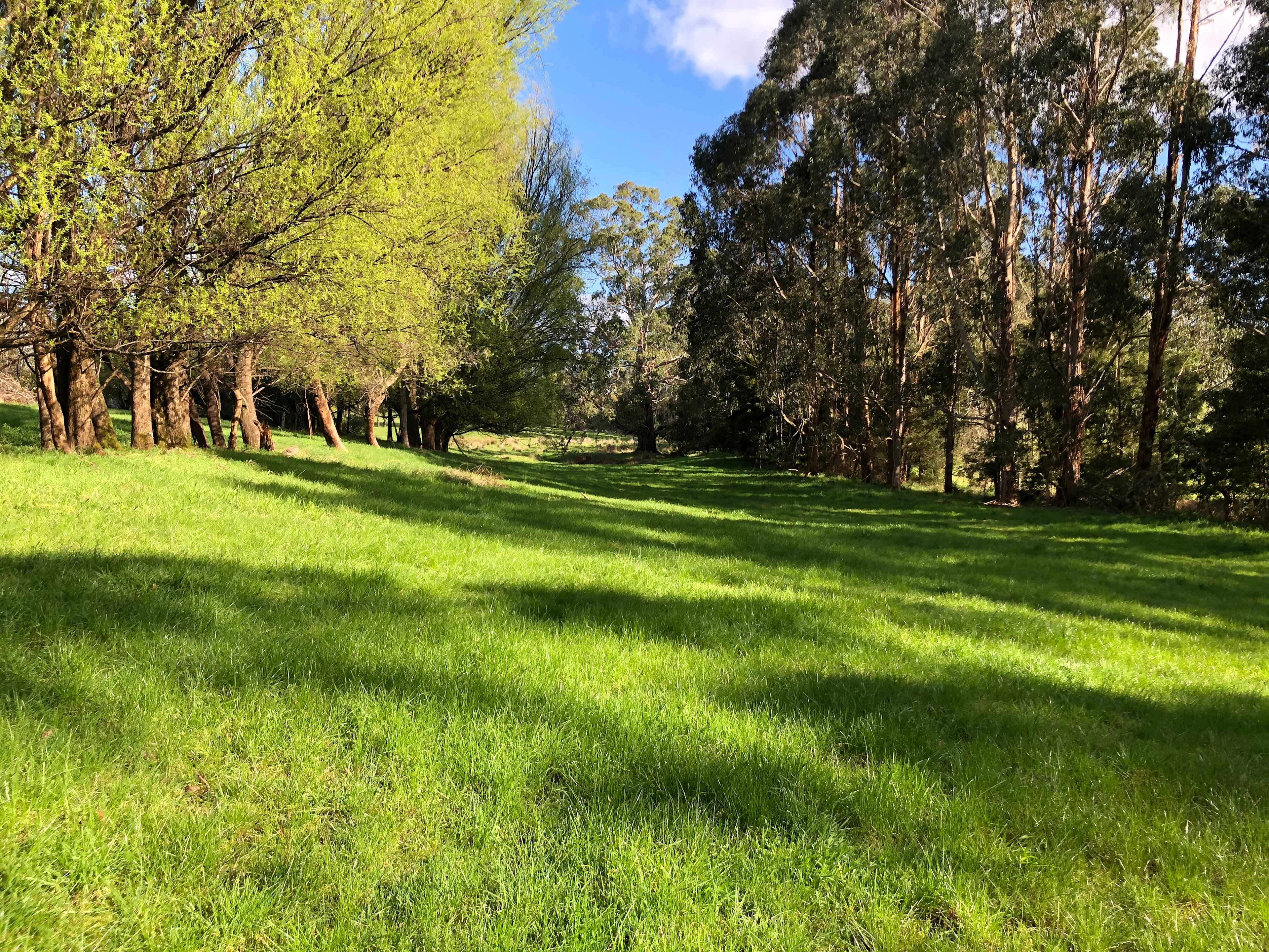 Now Site 2 tucked away down the bottom of the property, plenty of room and privacy, close to the creek and overflow (very small) dam. Suited to those with 4x4 and just want piece and quite. Wel suited to familes, who like added privacy and extra shade.