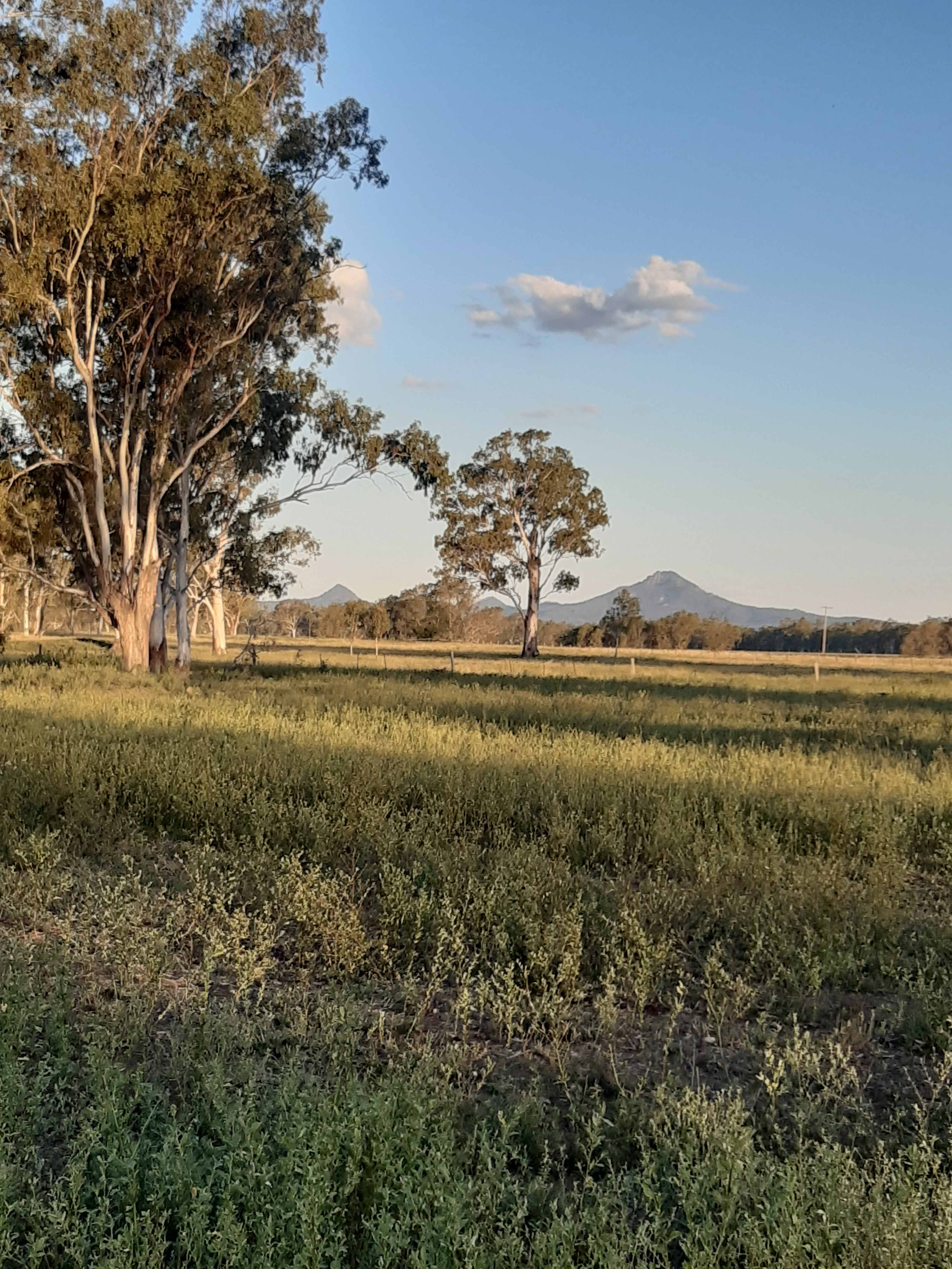 Camping near Willowbank Raceway